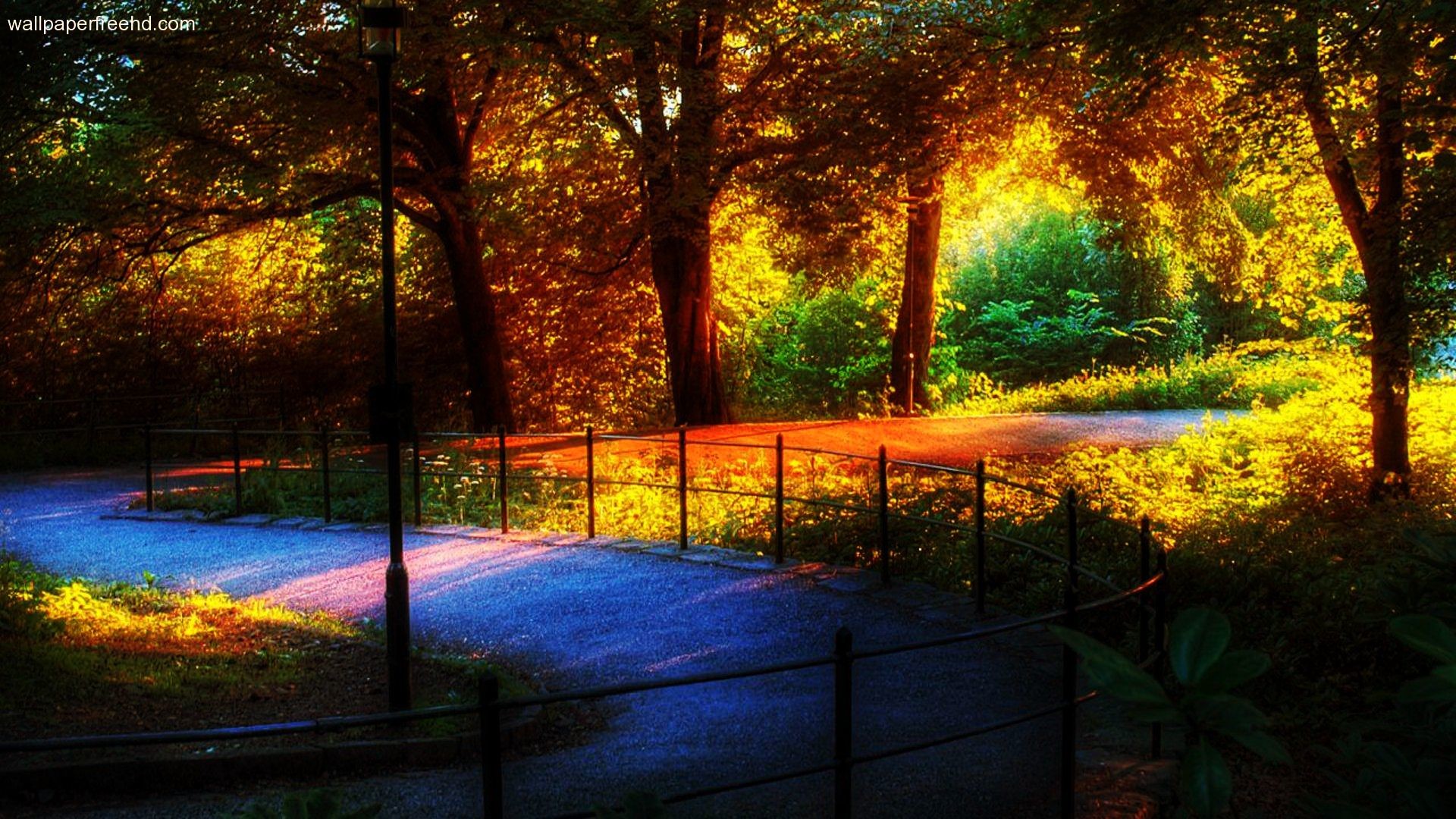 1920x1080 Amazing-Nature-Wallpaper-Rainbow-in-The-Park-1080p-