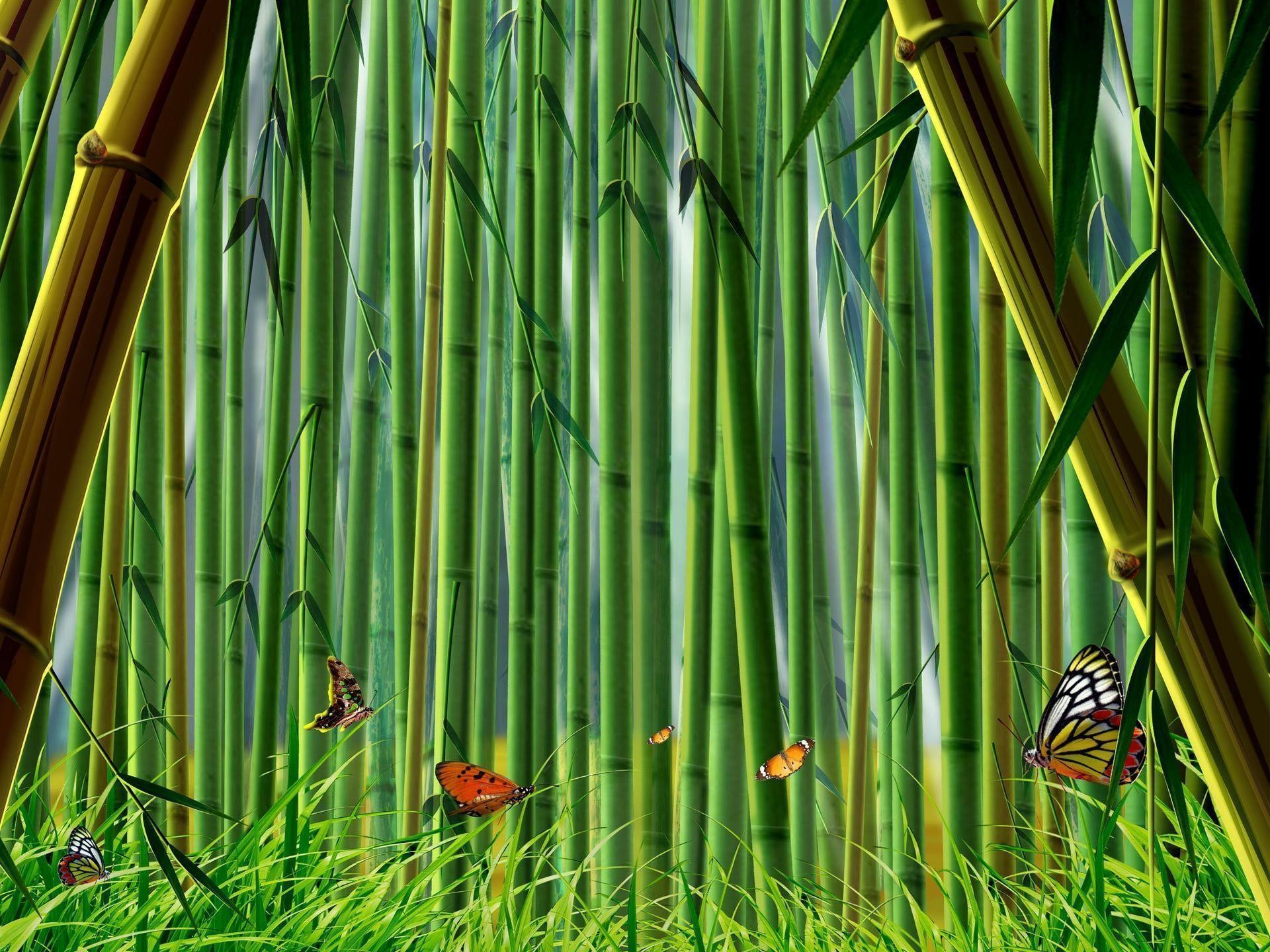 1920x1440 Desktop Wallpaper Â· Gallery Â· Computers Â· Bamboo Forest | Free .
