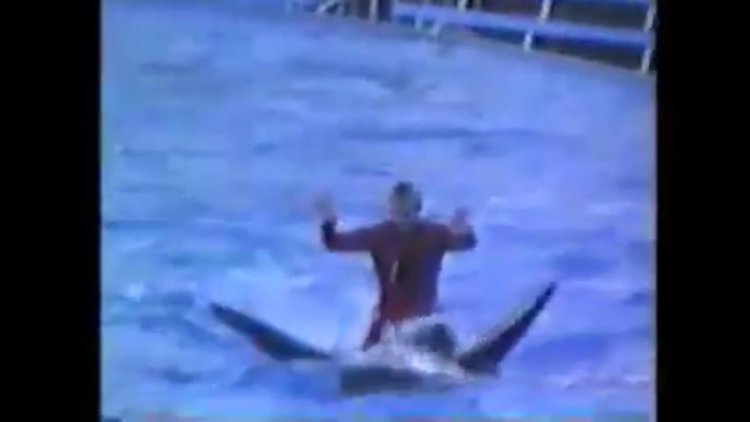 2560x1440 Classic SeaWorld Shamu Show:Trainers in the Water!!!