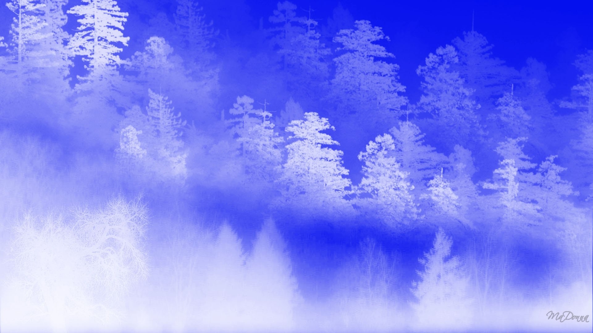 1920x1080 Winter - Blue Fantasy Trees Winters Winter Snow Desktop Pictures Free for  HD 16:9