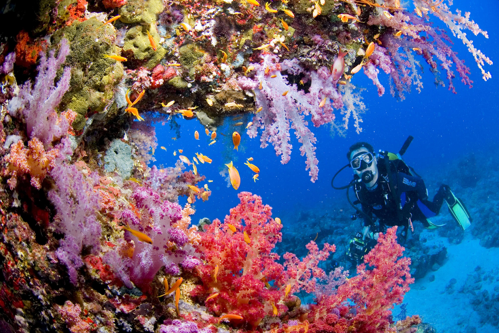 2000x1333 Sports scuba diving ocean sea underwater coral reef people wallpaper |   | 33391 | WallpaperUP