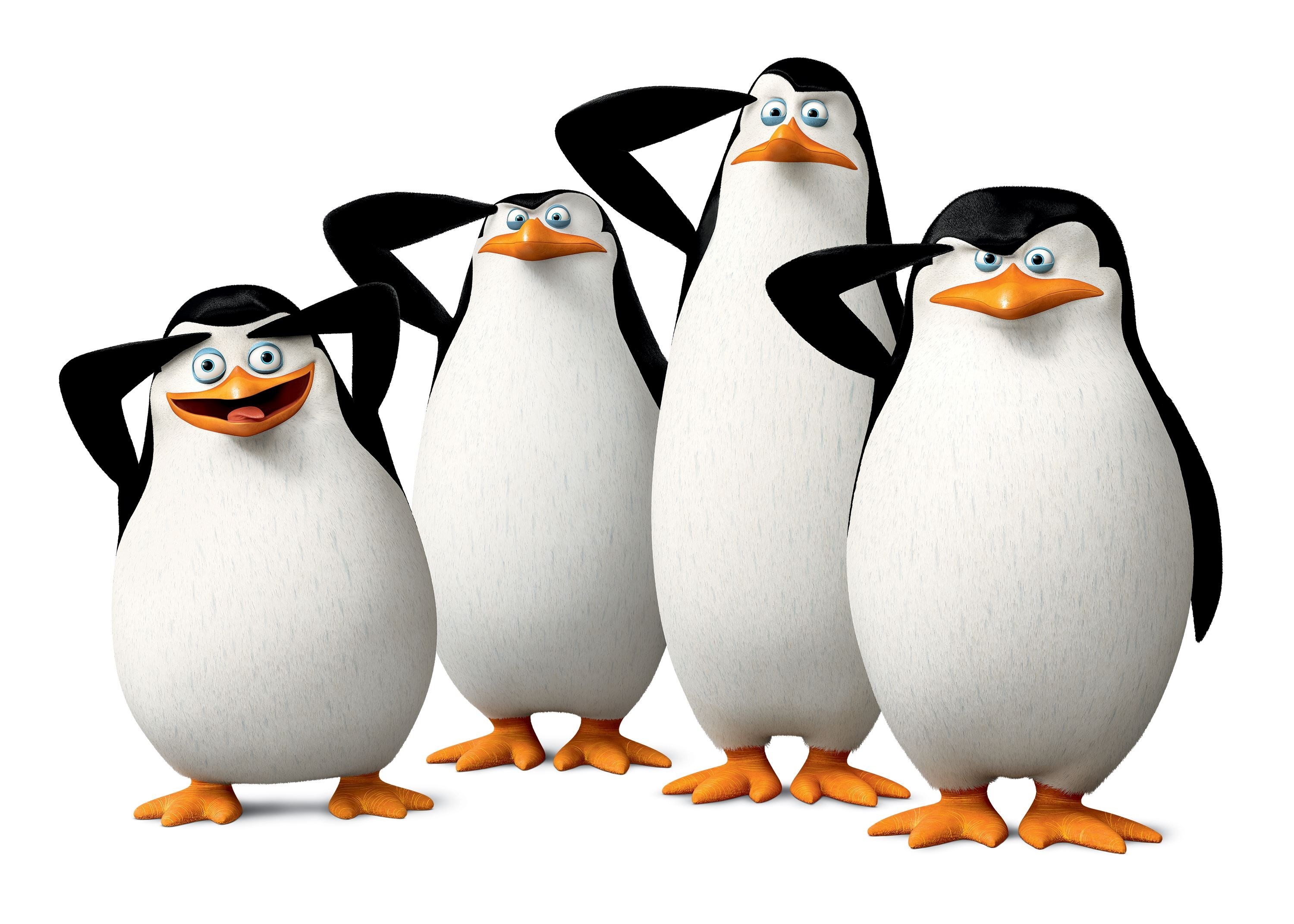 3000x2143 penguins of madagascar wallpaper for large desktop (Baby Little )