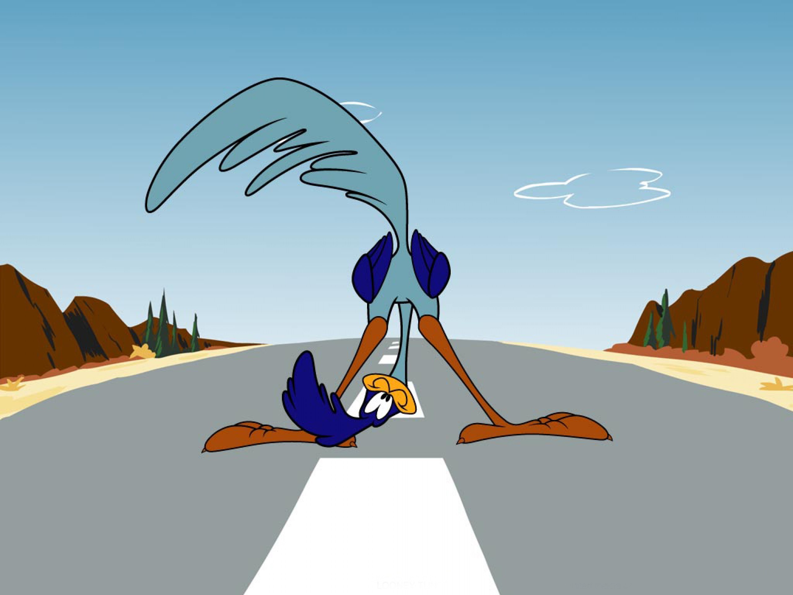 2560x1920 Road Runner And Wile E. Coyote Cartoon Wallpapers .