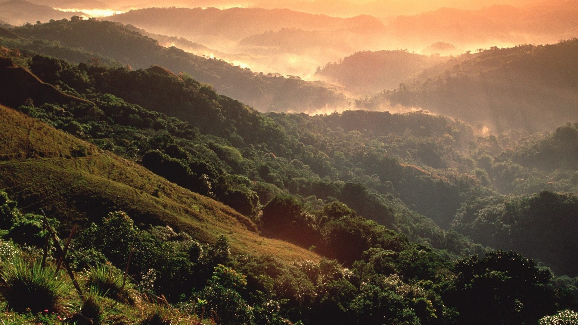1920x1080 Puerto Rico Rainforest Mountains Wallpaper Hd Nature Scenes Free Download -  