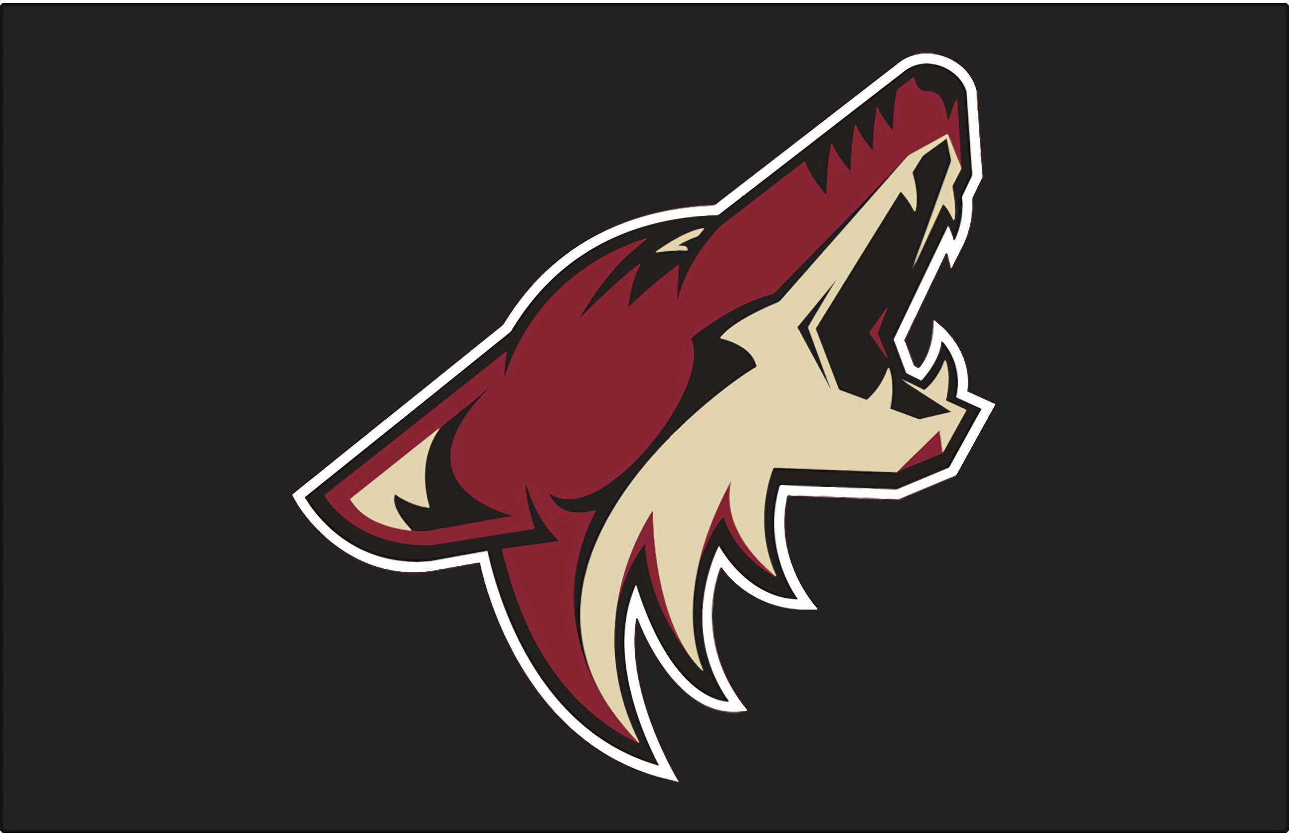 2560x1661 Arizona Coyotes HD Wallpaper | Background Image |  | ID:859029 -  Wallpaper Abyss