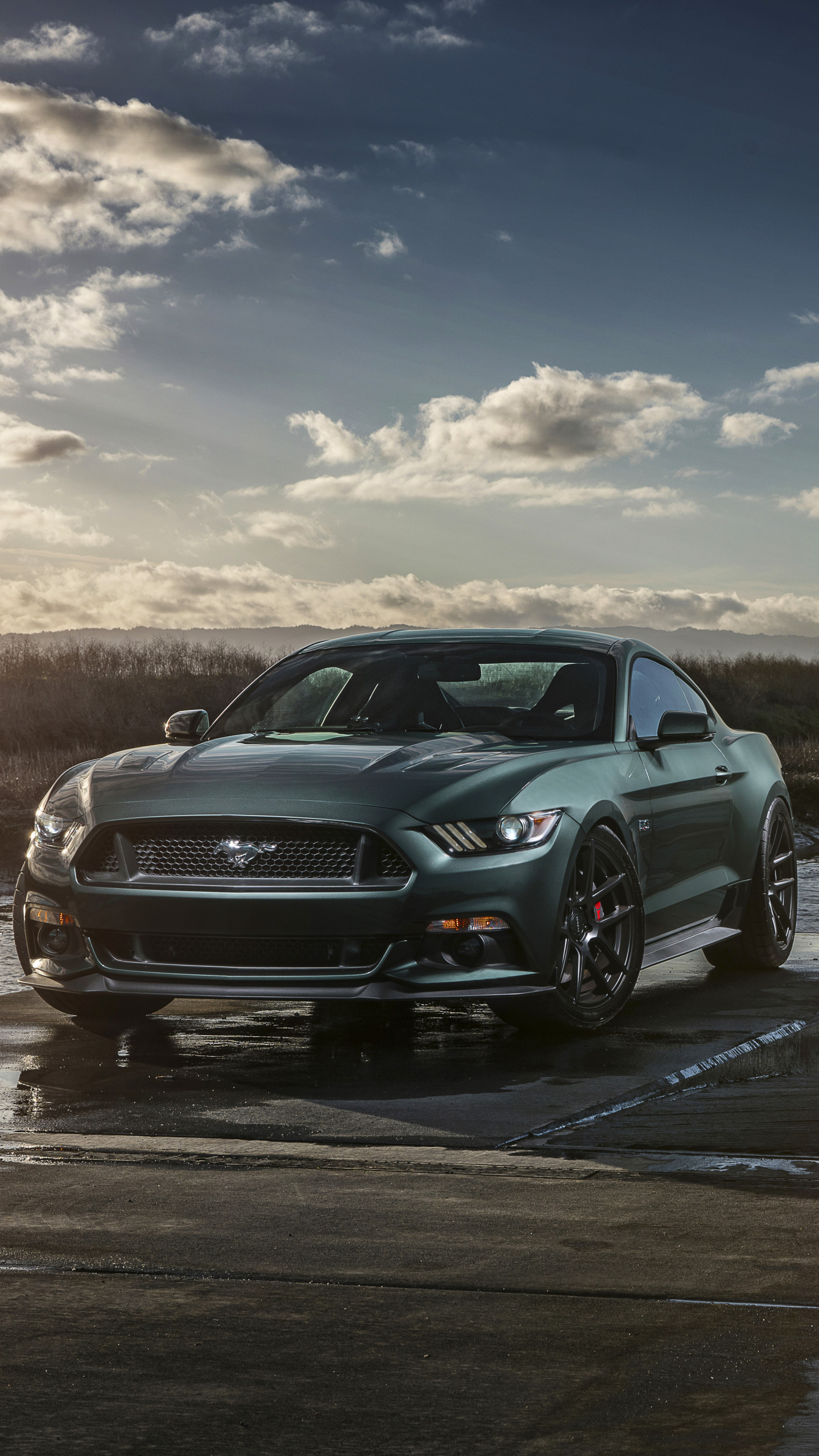 1440x2560 Vehicles / Ford Mustang GT () Mobile Wallpaper