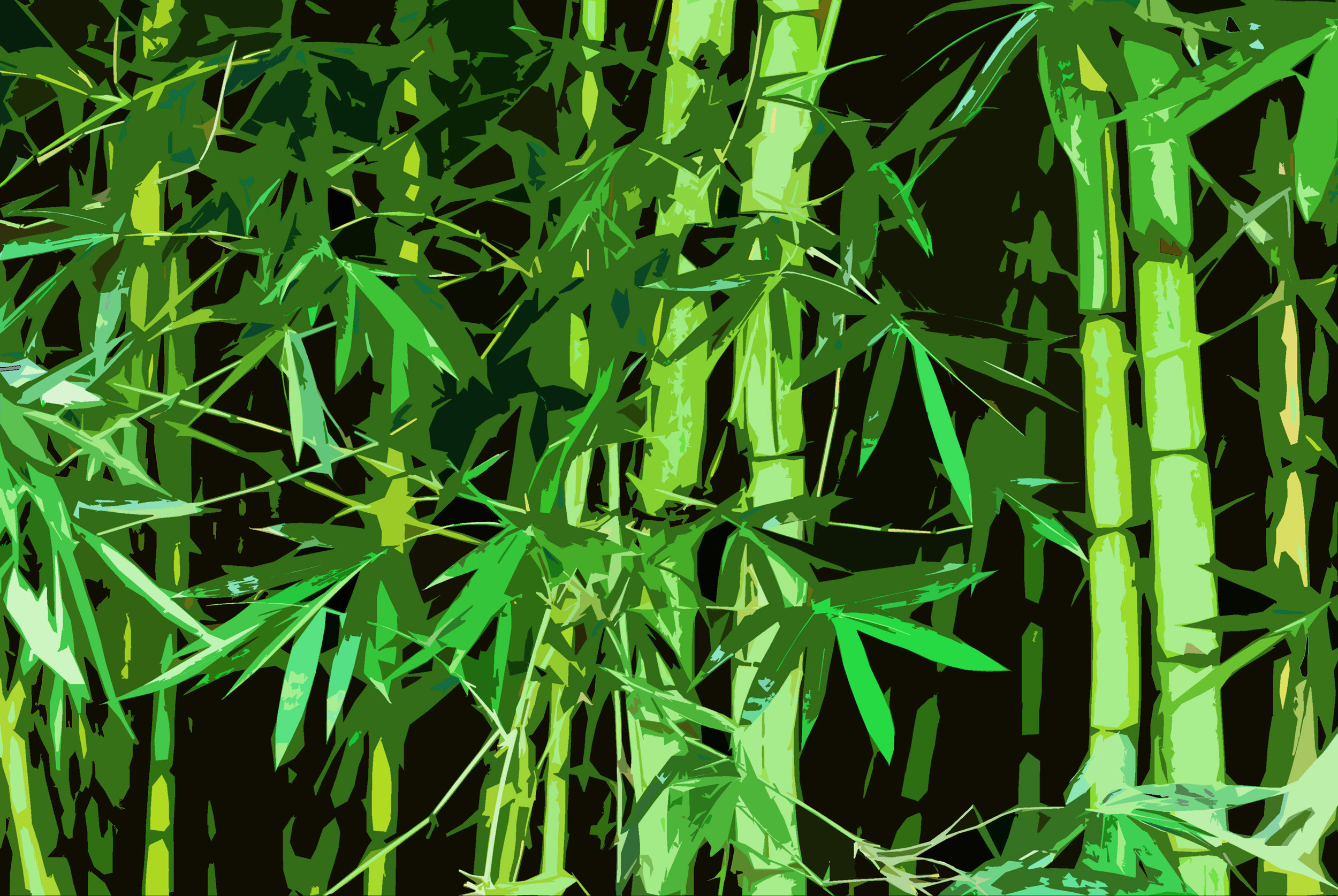 2500x1674 a bamboo illustrated effect background