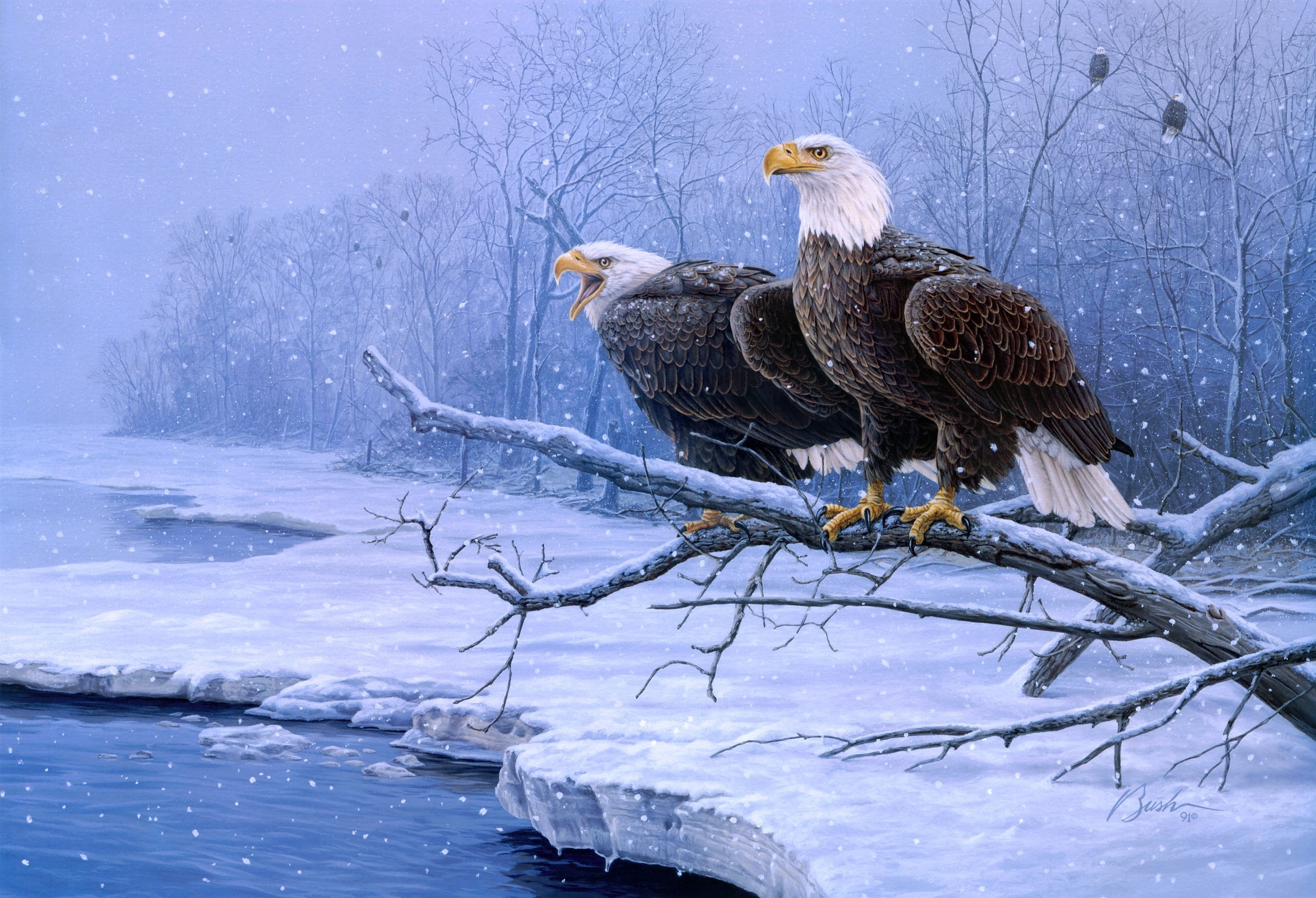 2680x1830 Bald Eagle Wallpaper by Danijel Manuel, WALLPORT