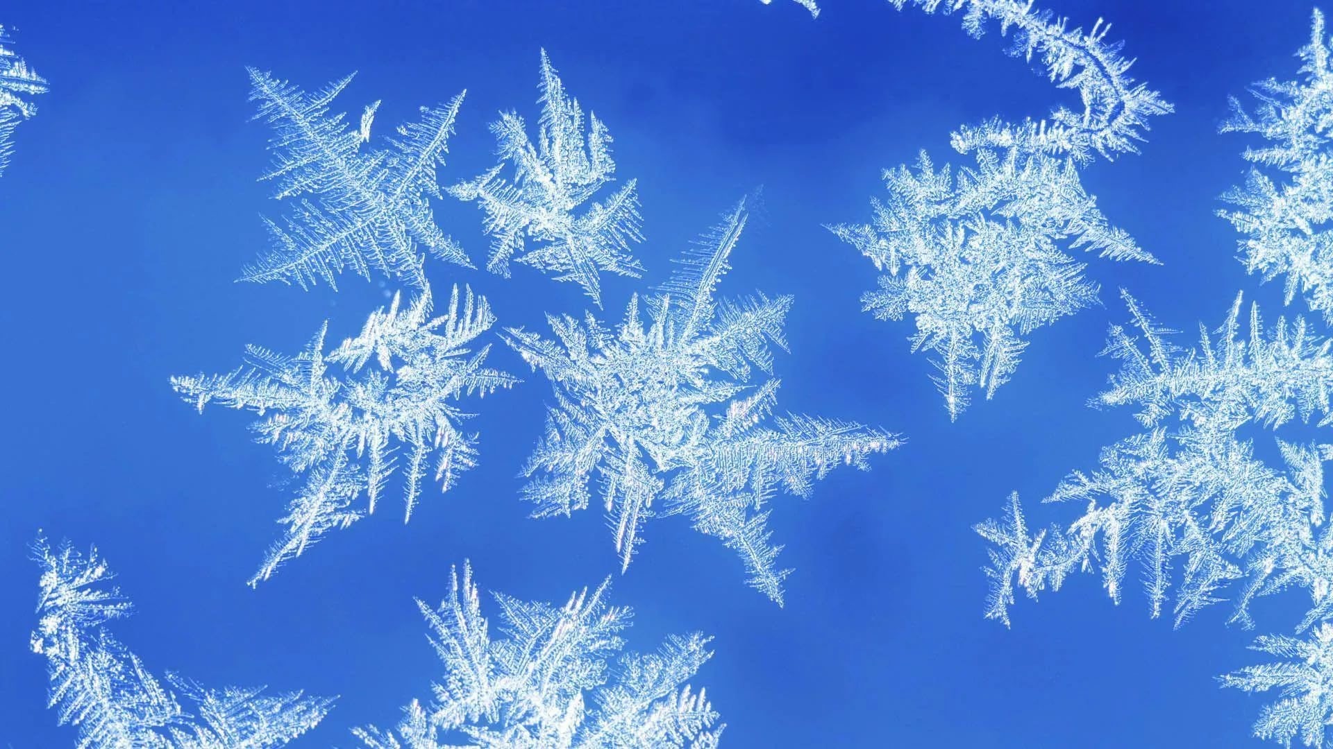 1920x1080 ... Snowflakes Wallpapers and Backgrounds ...