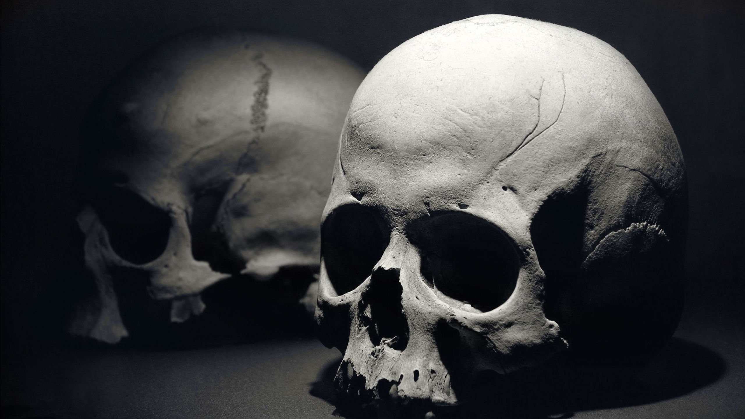 2560x1440  Dark Skull Evil Horror Skulls Art Artwork Skeleton D Wallpaper At  Dark Wallpapers