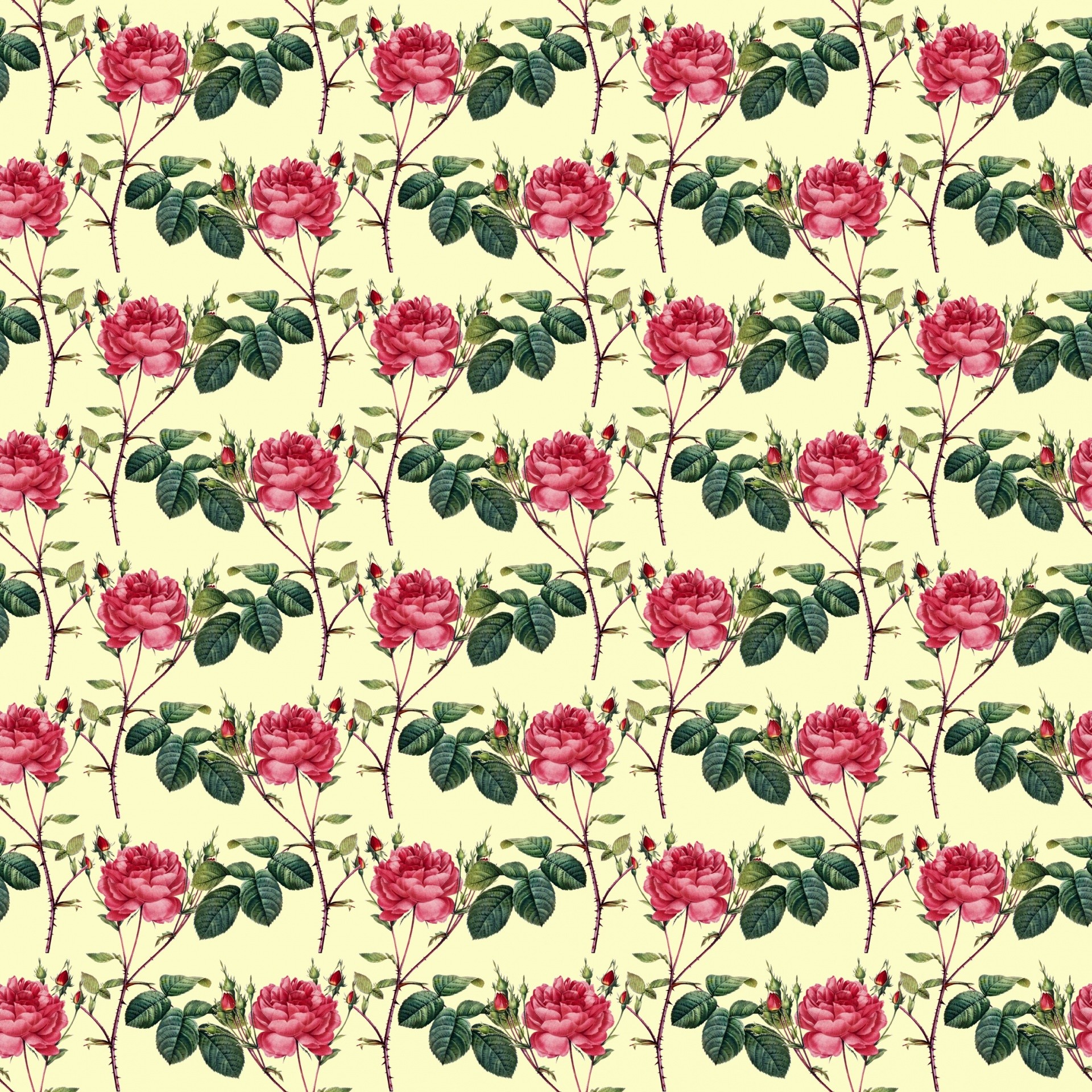1920x1920 roses,red,flowers,vintage,wallpaper,paper,background,pattern,