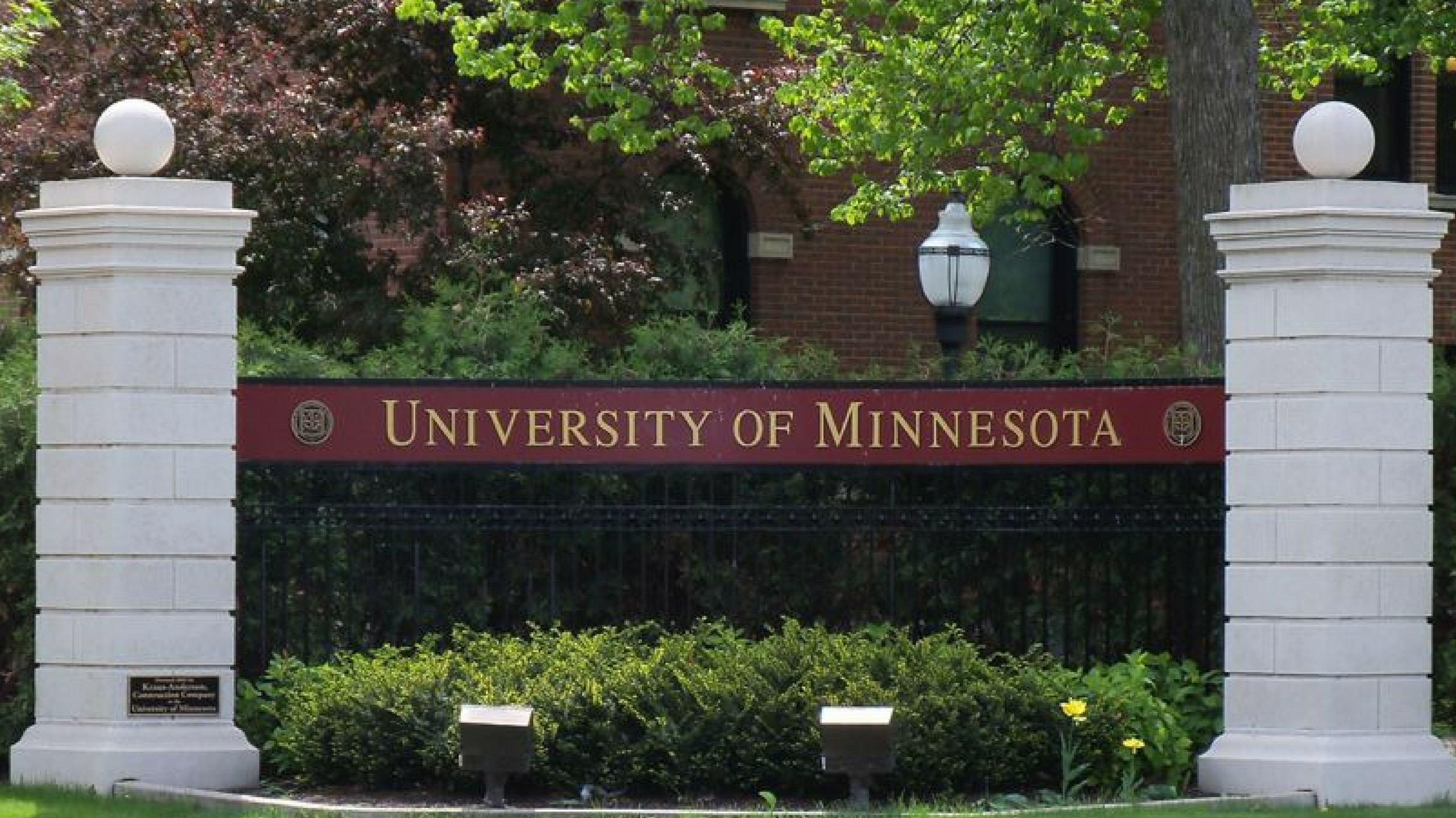 2560x1440 University, Minnesota,