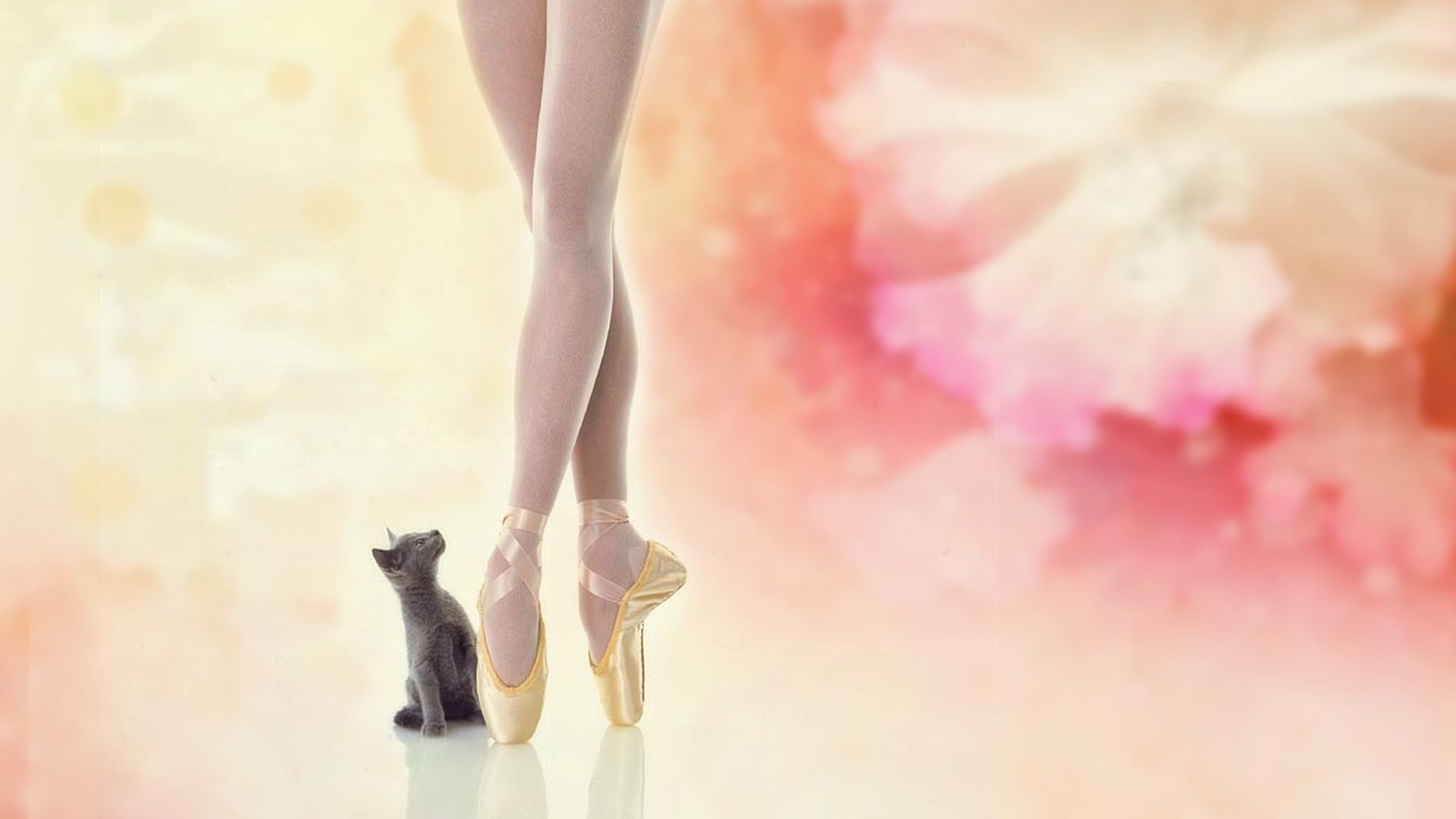 1920x1080 HD Wallpaper | Background ID:499611.  Artistic Ballerina