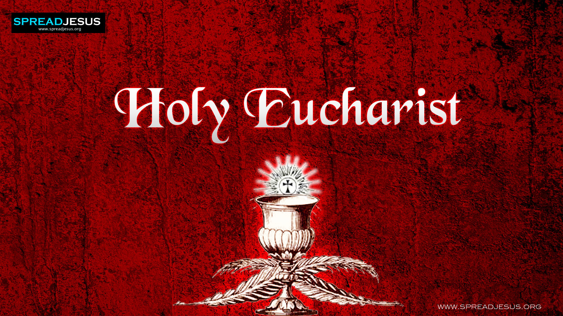 1920x1080 Seven Sacrements 3 Holy Eucharist Wallpaper HD Catholic wallpapersjpg  