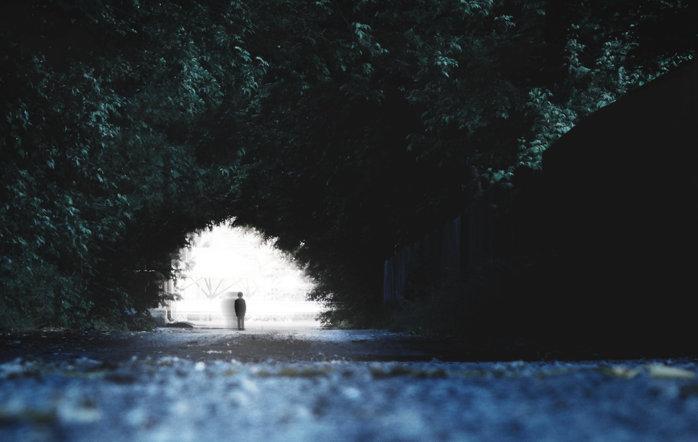 2275x1440 silhouette of a man on a tunnel free image | Peakpx
