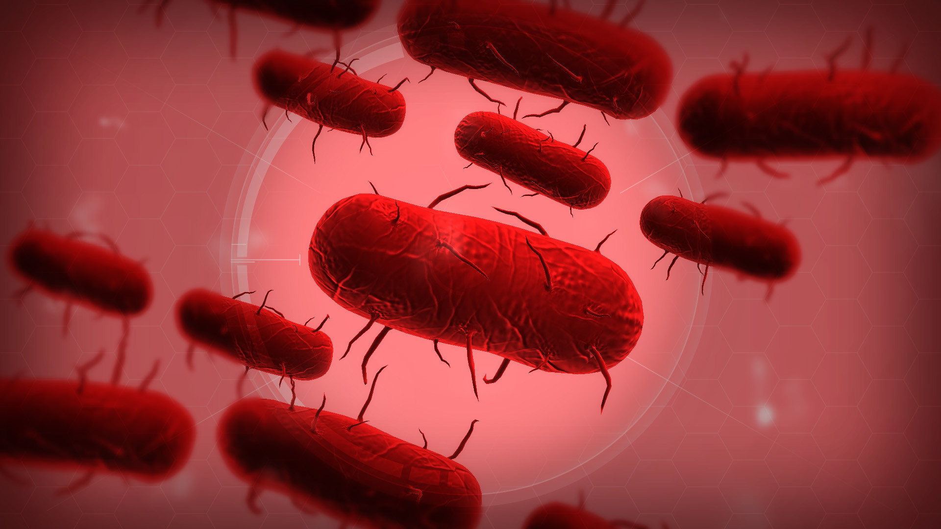1920x1080 Image - Bacteria Wallpaper.jpg | Plague Inc. Wiki | FANDOM powered by Wikia