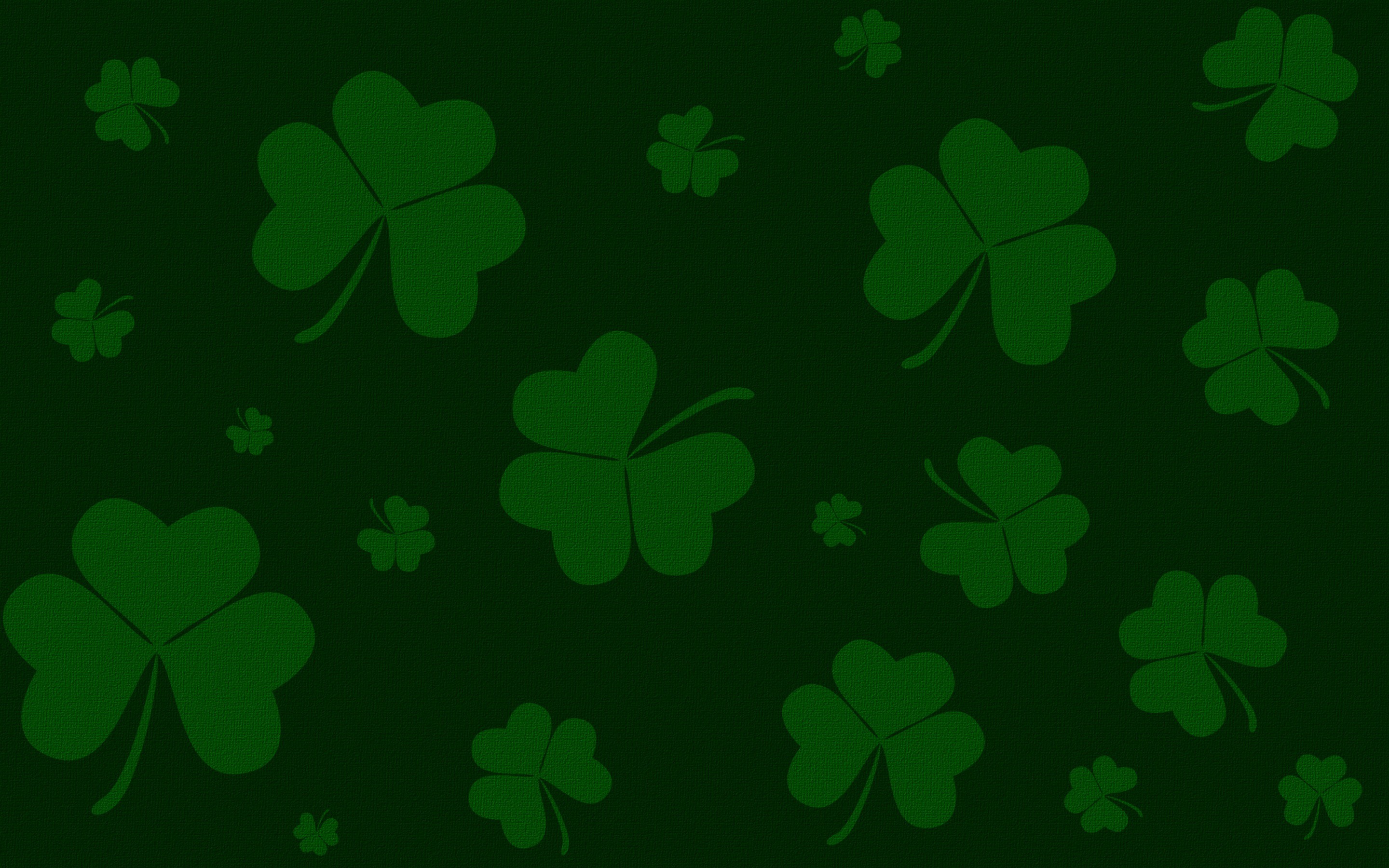 2880x1800 Happy S.T Patrick's Tag My Fans images Happy Saint Patrick's Tag HD  wallpaper and background photos
