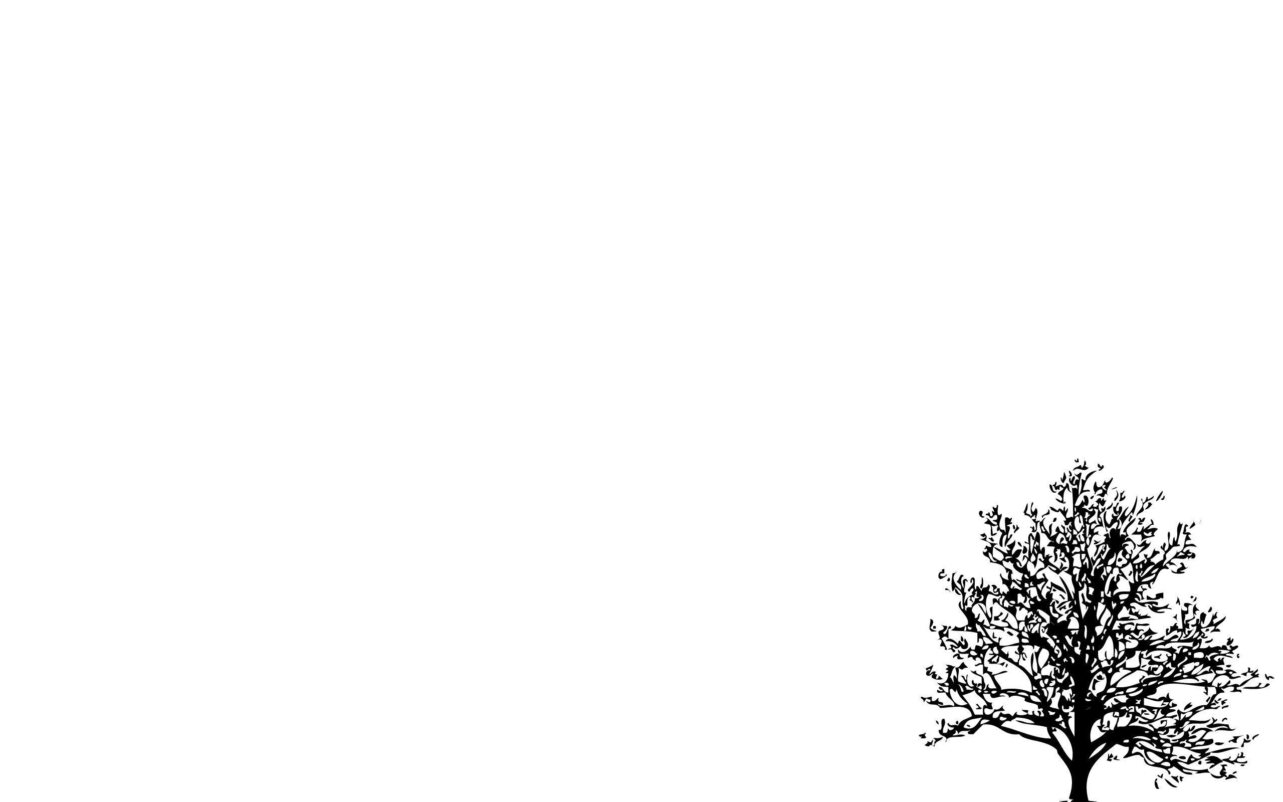2560x1600 Minimalistic Simple Background Trees White 