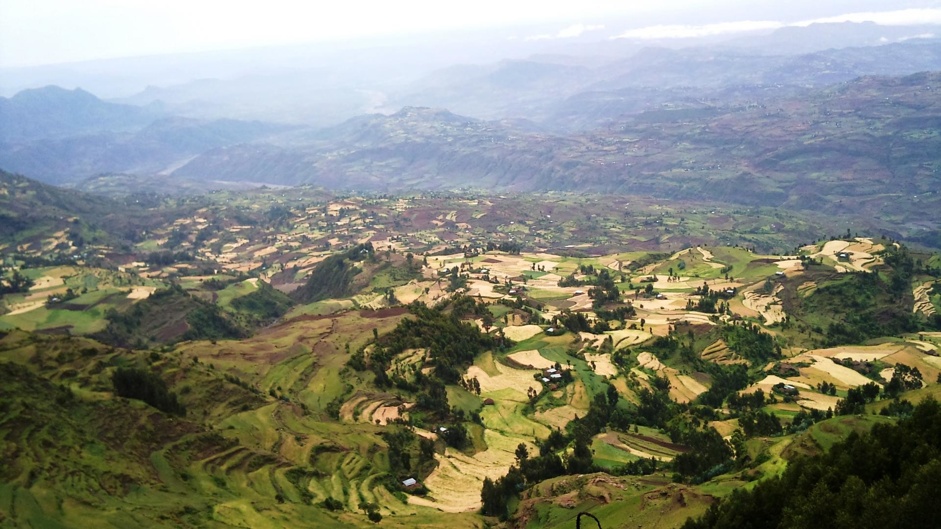 1920x1080 Roles, Policy and Small-scale Farming Systems in Ethiopian Agriculture |  global growing