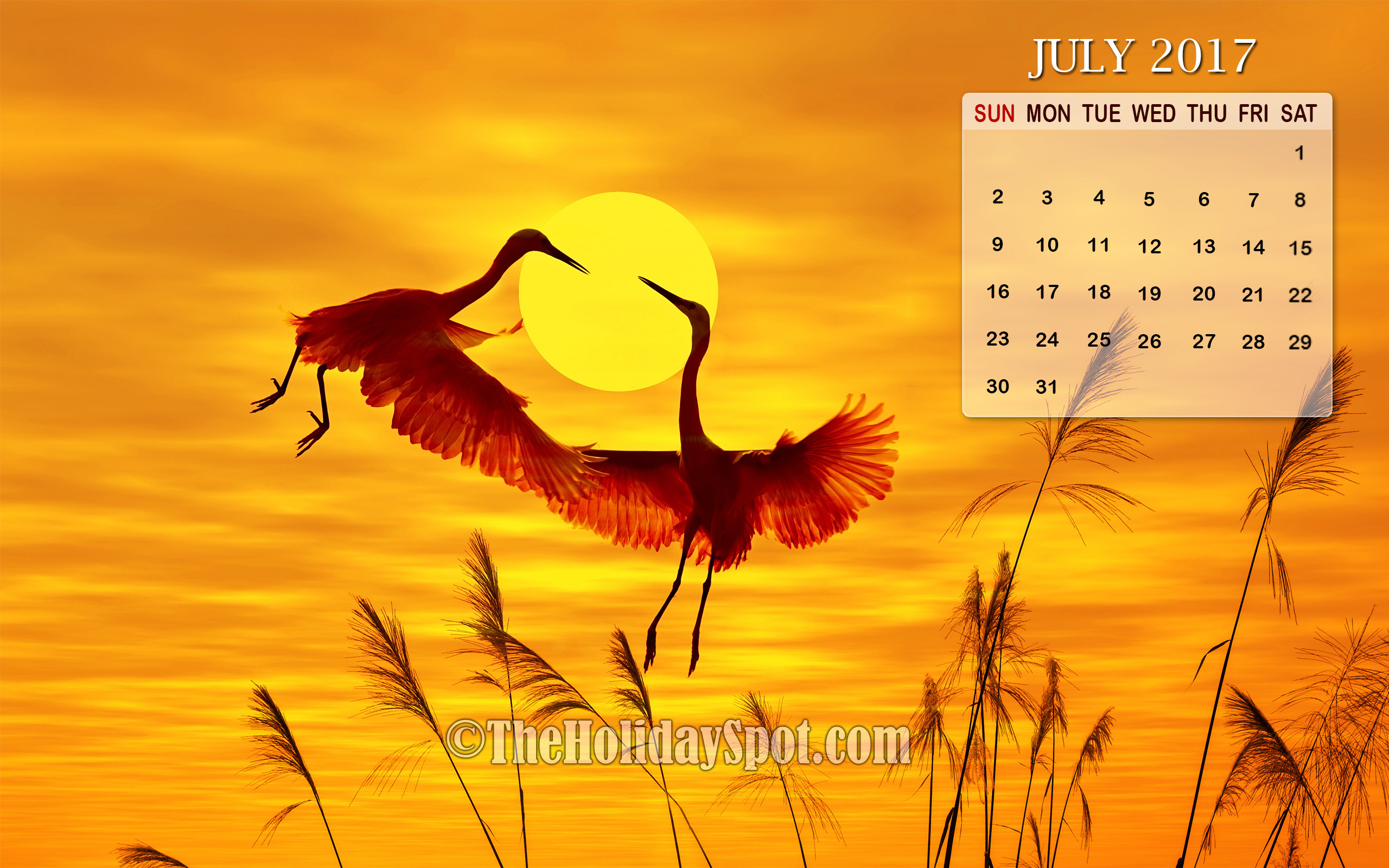 2560x1600 July 2017 Calendar Wallpaper of two flying birds