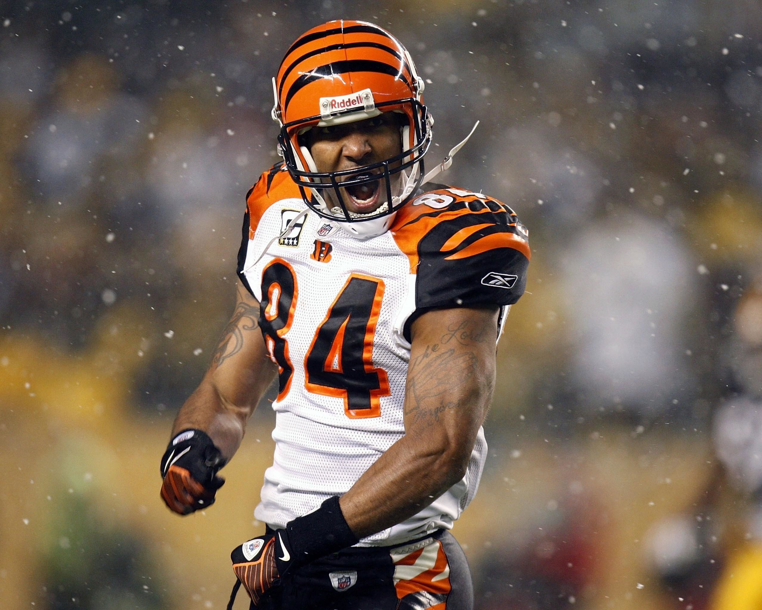 Download Free Cincinnati Bengals Backgrounds  PixelsTalkNet