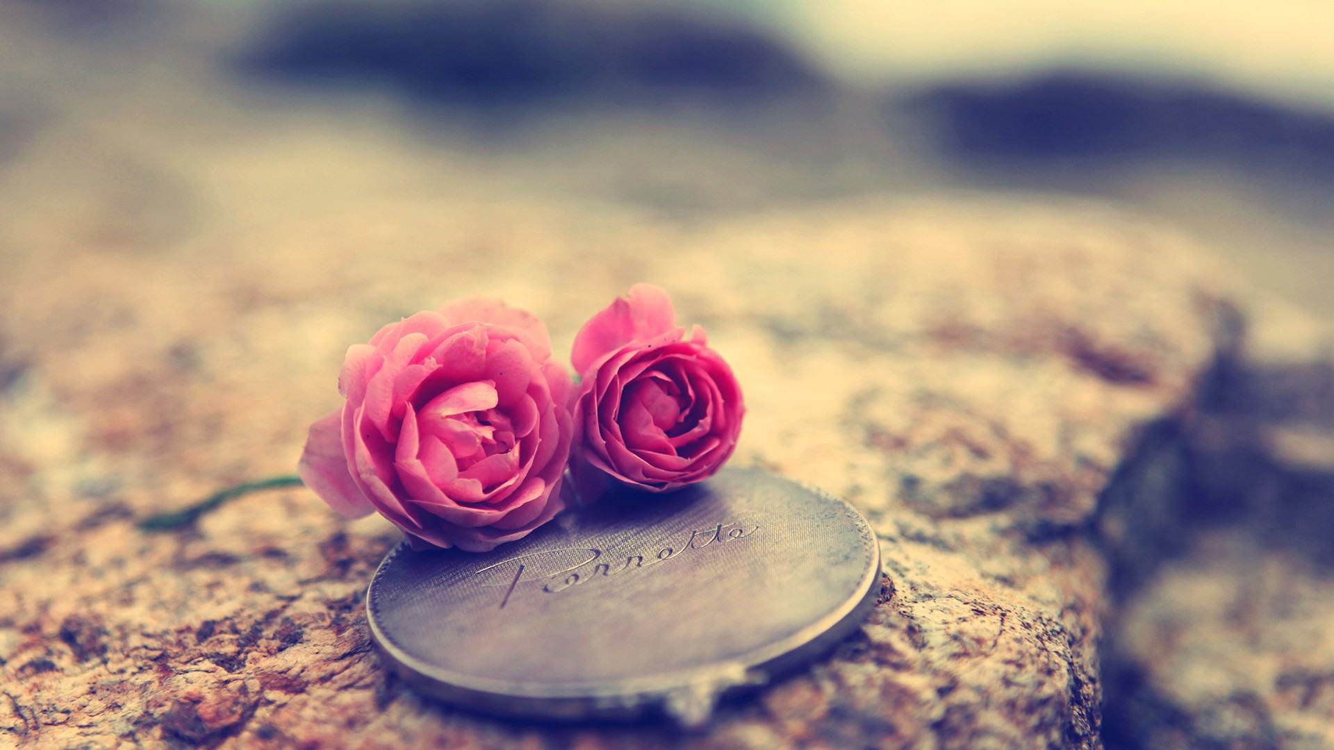 1920x1080 hd pics photos love romantic roses flowers desktop background wallpaper