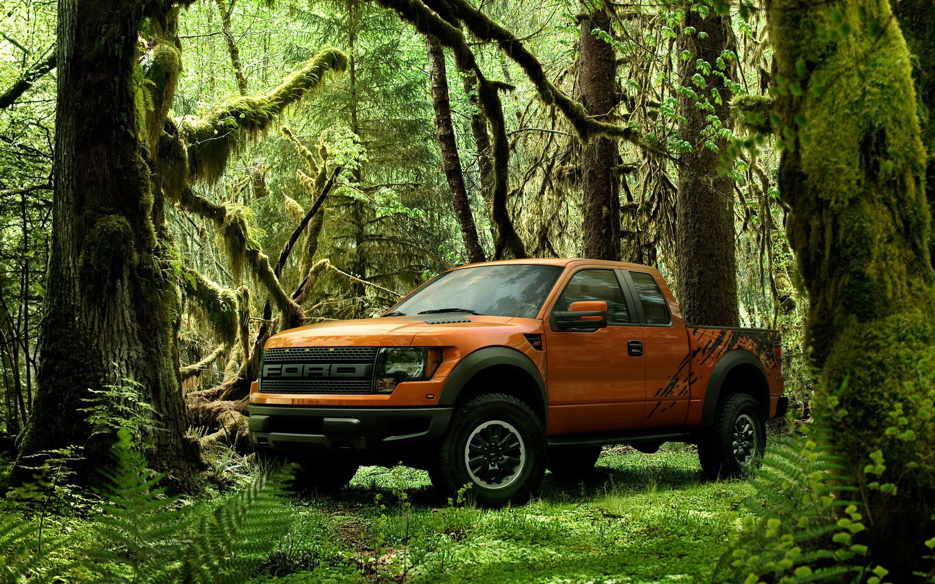 1920x1200 2016 Ford F 150 Raptor Wallpapers | HD Wallpapers ...