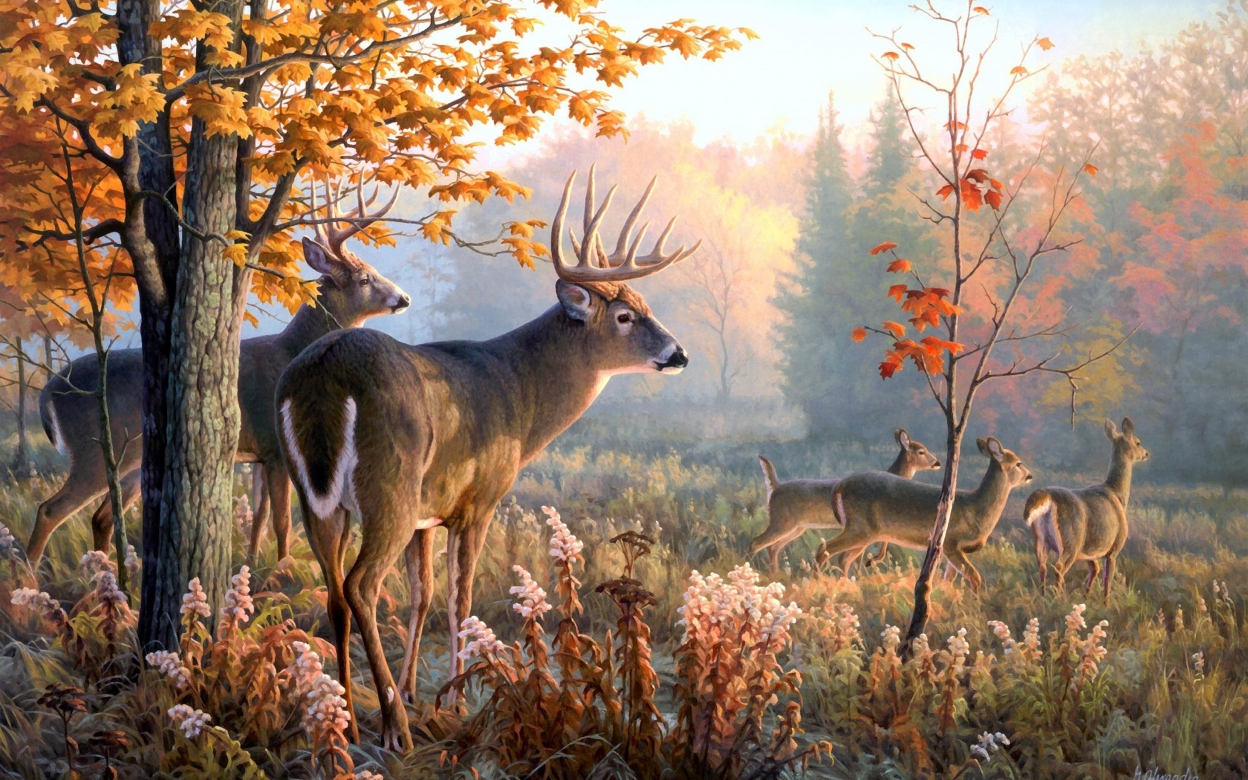 2560x1600 Deer Art Wallpaper, wallpaper, Deer Art Wallpaper hd wallpaper .