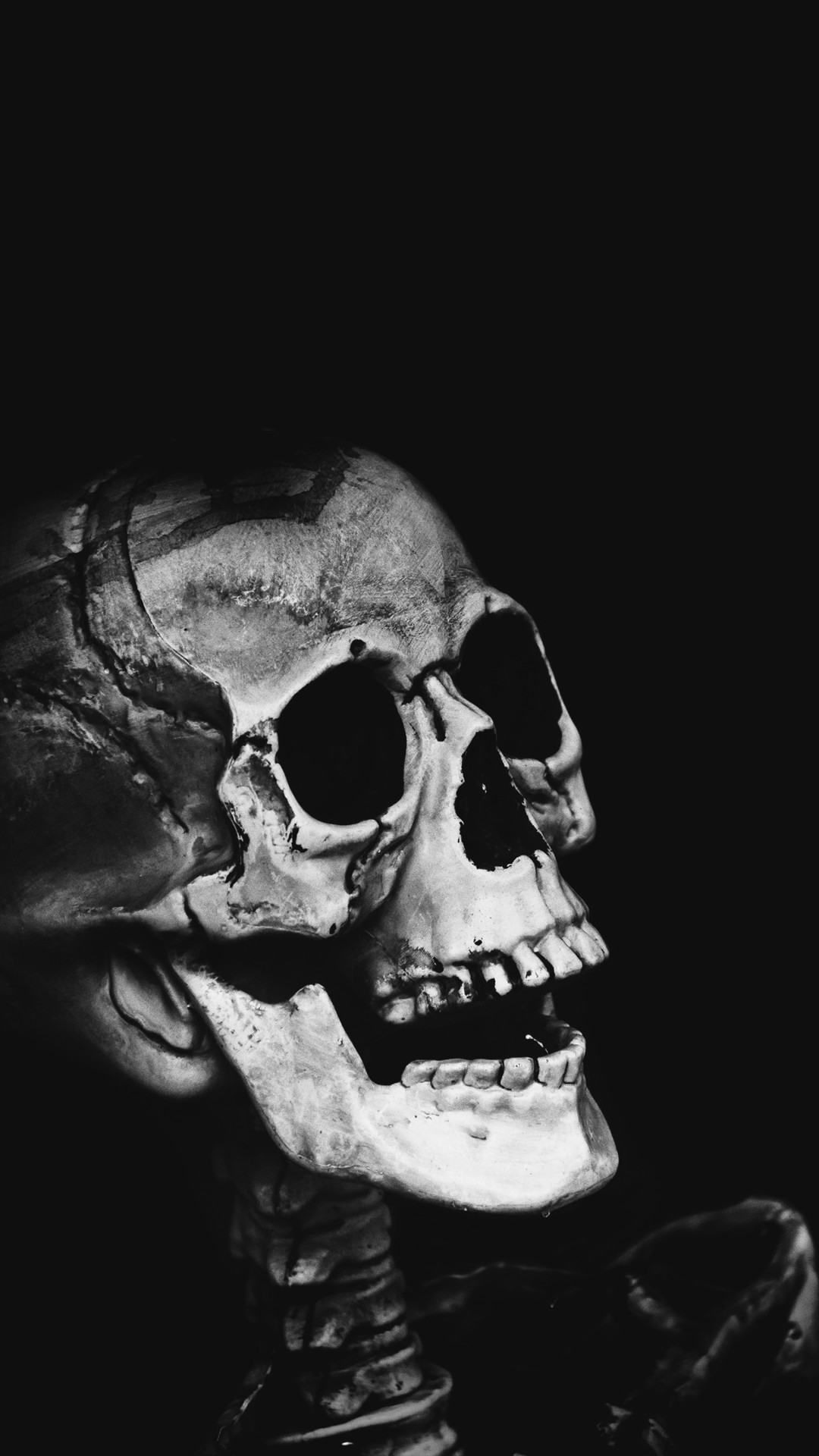 1080x1920 Classic Skull