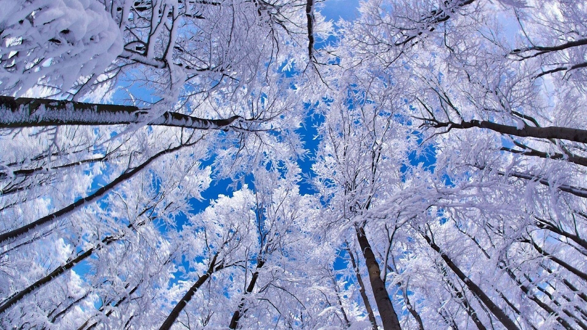 1920x1080 Blue Winter Desktop Wallpaper, Blue Winter Background