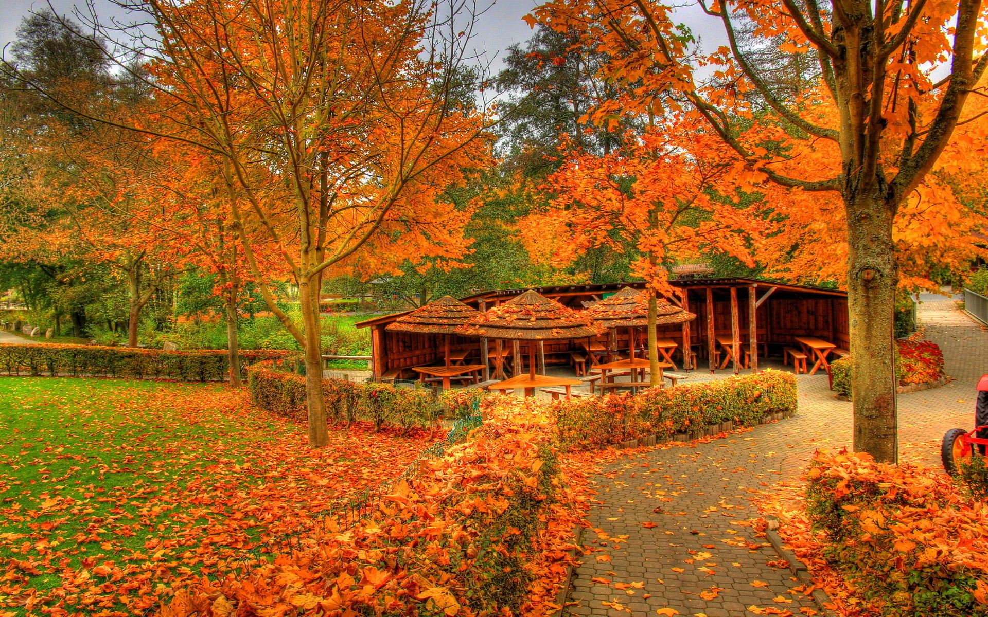 1920x1200 Landscapes Autumn Fall Color Wallpaper  37358