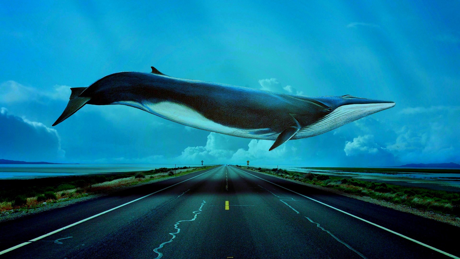 1920x1080 Flying Blue Whale
