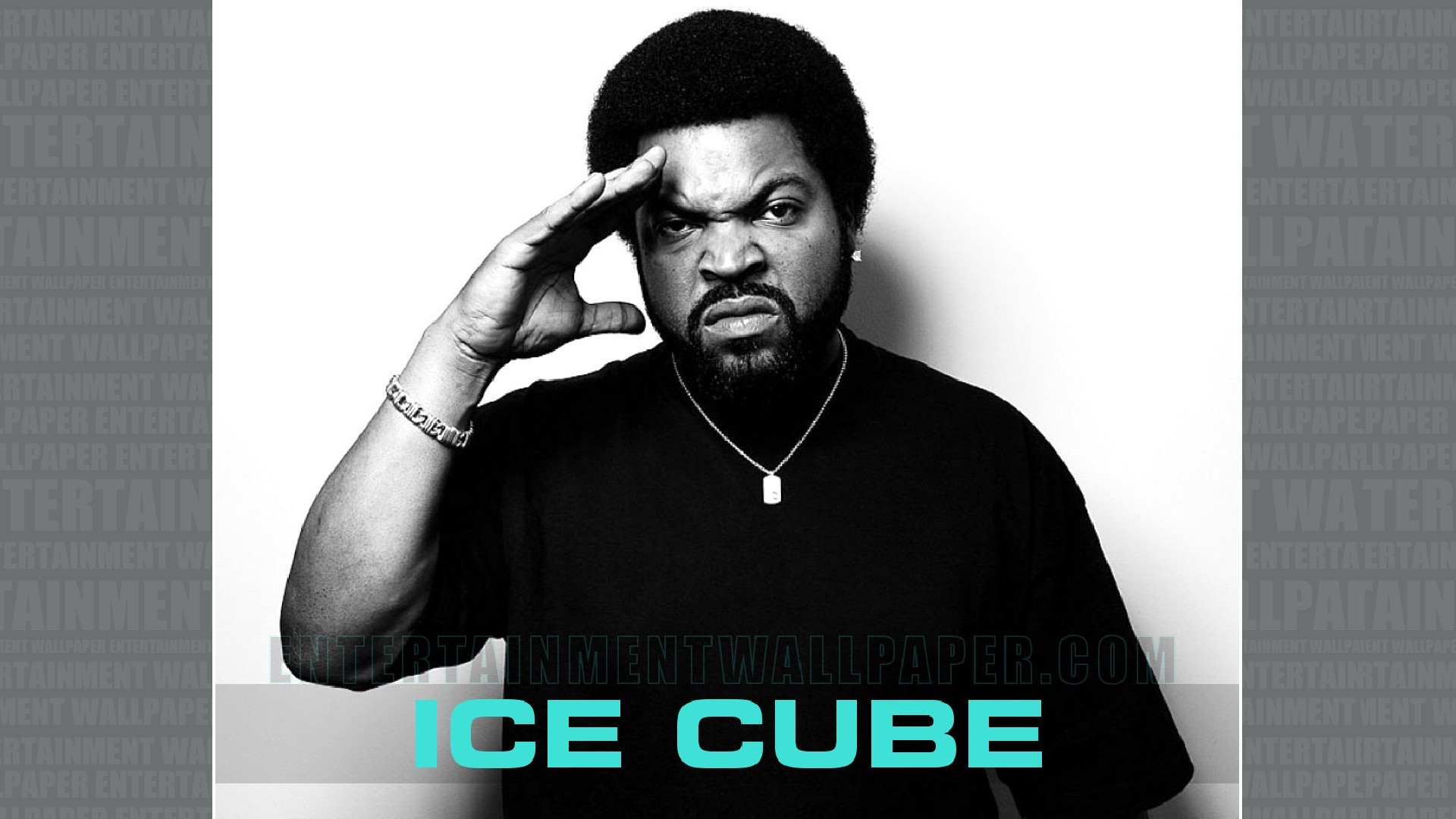 1920x1080 Ice Cube Wallpaper - Original size, download now.
