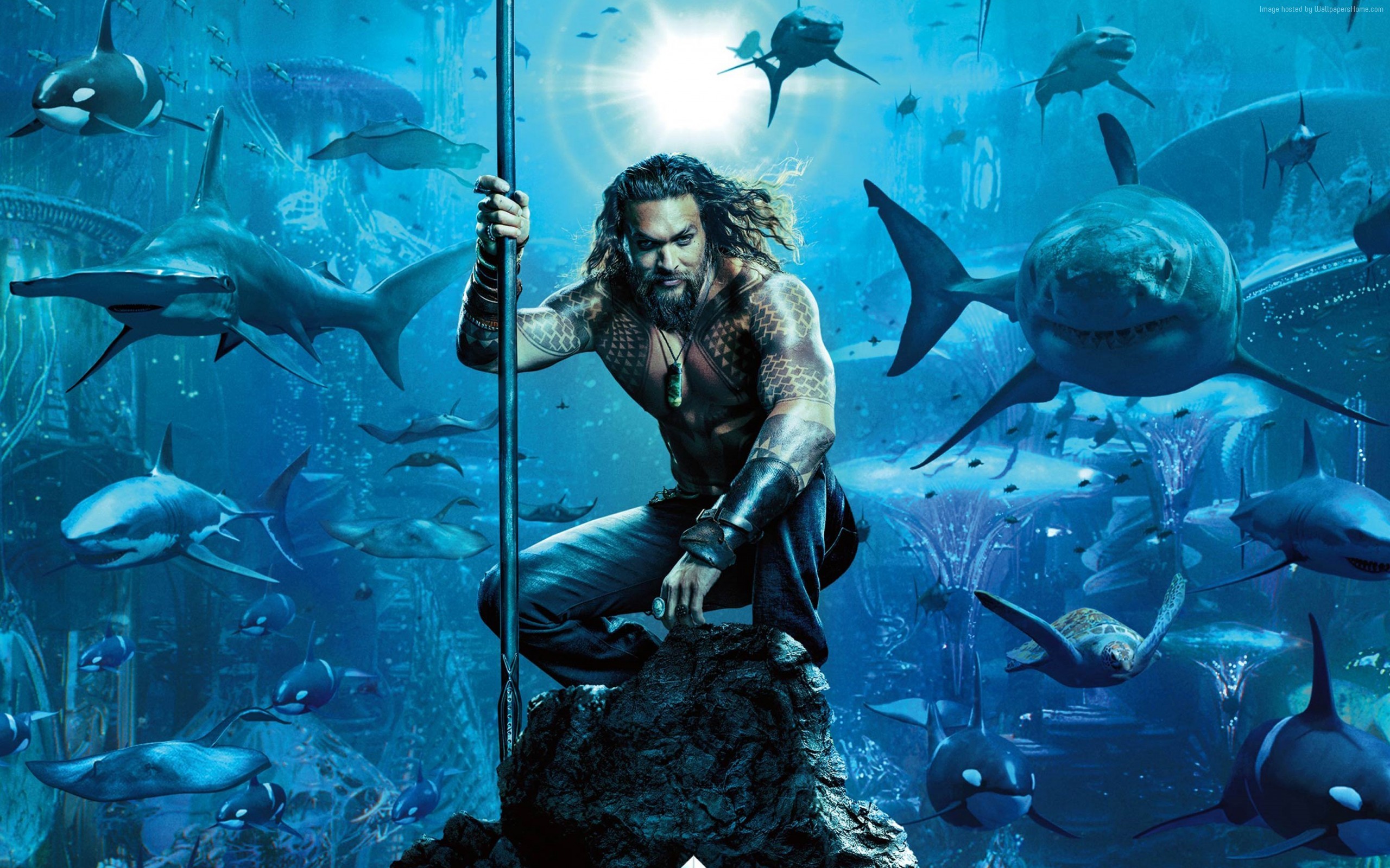 2560x1600 Wallpaper Aquaman, Jason Momoa, Poster picture & HD photo
