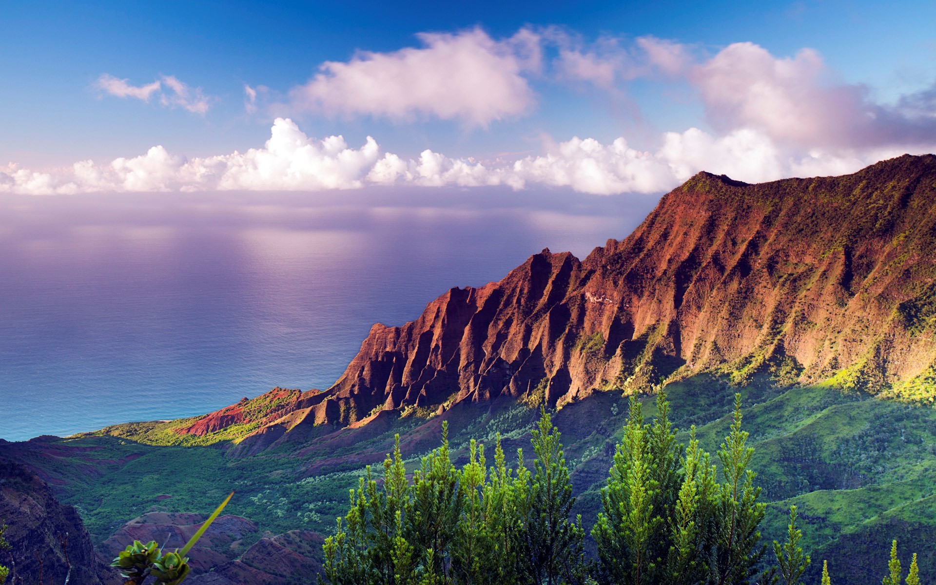1920x1200 Maxwell Nail - hawaii images for backgrounds desktop free -  px