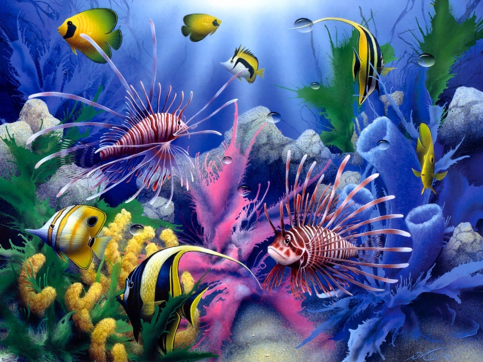 1920x1440 Lions of the Sea David Miller painting art animals fishes tropical sealife  life color underwater coral reef ocean sea sunlight wallpaper background