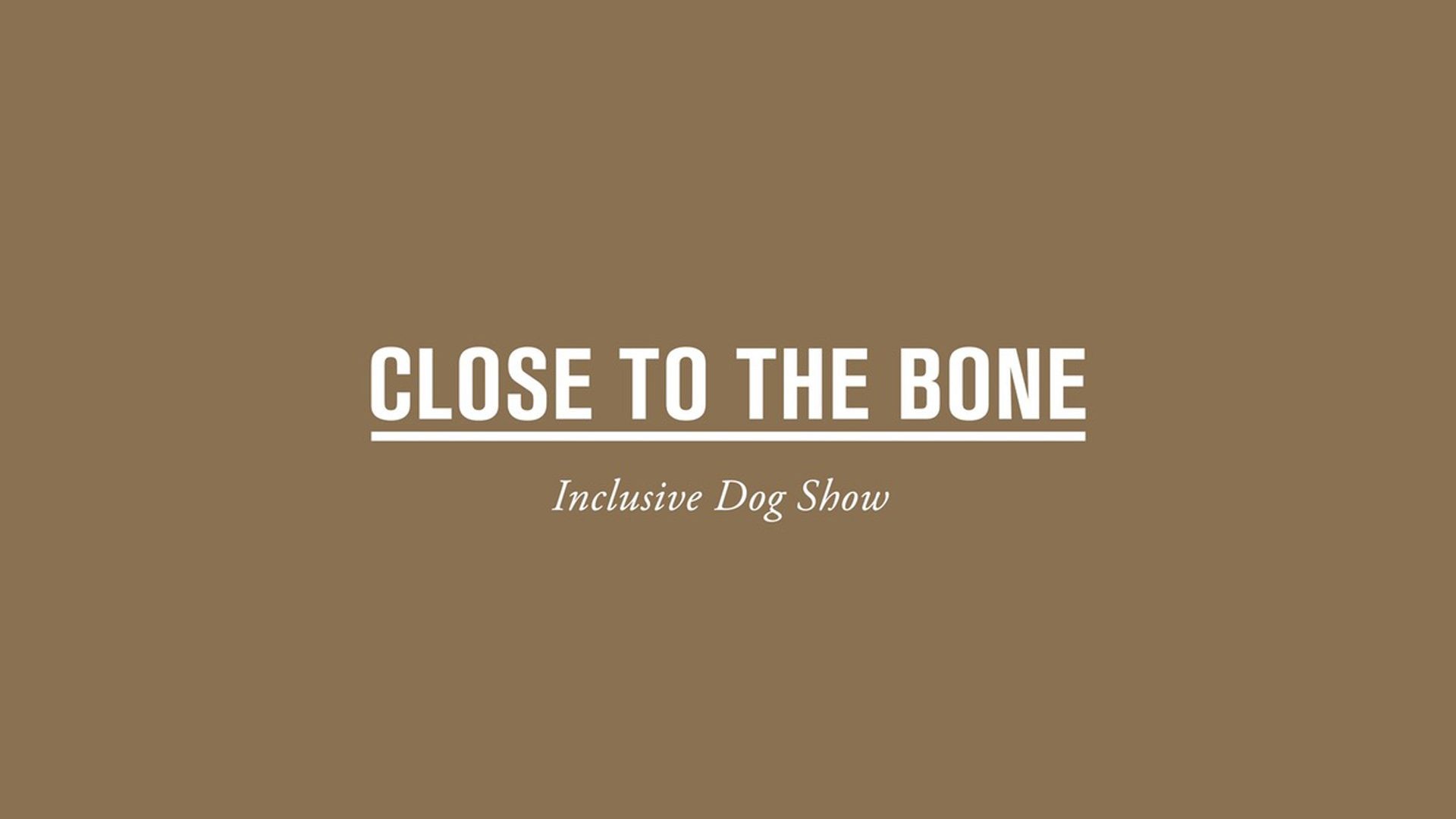 1920x1080 The inclusive dog show for city dwelling dogs