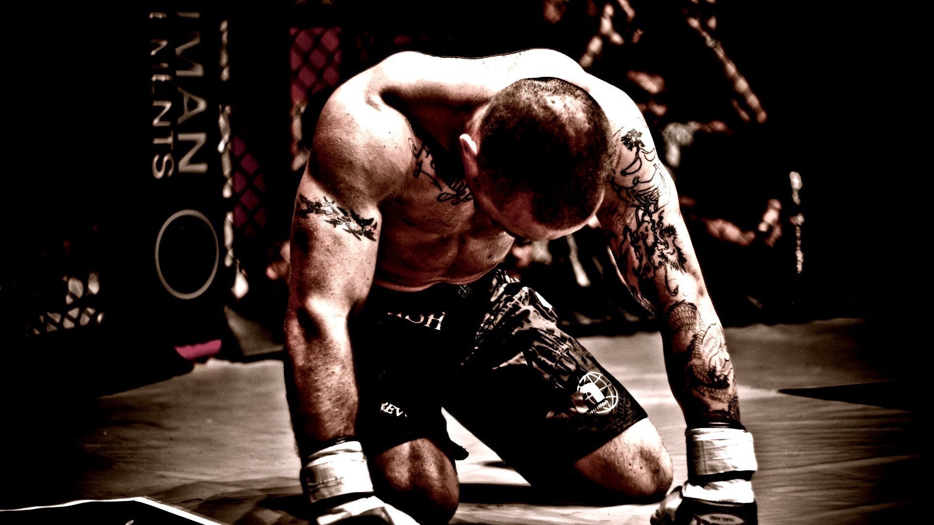 1920x1080 Preview wallpaper mma, mixed martial arts, fighter, fighter, tattoos  