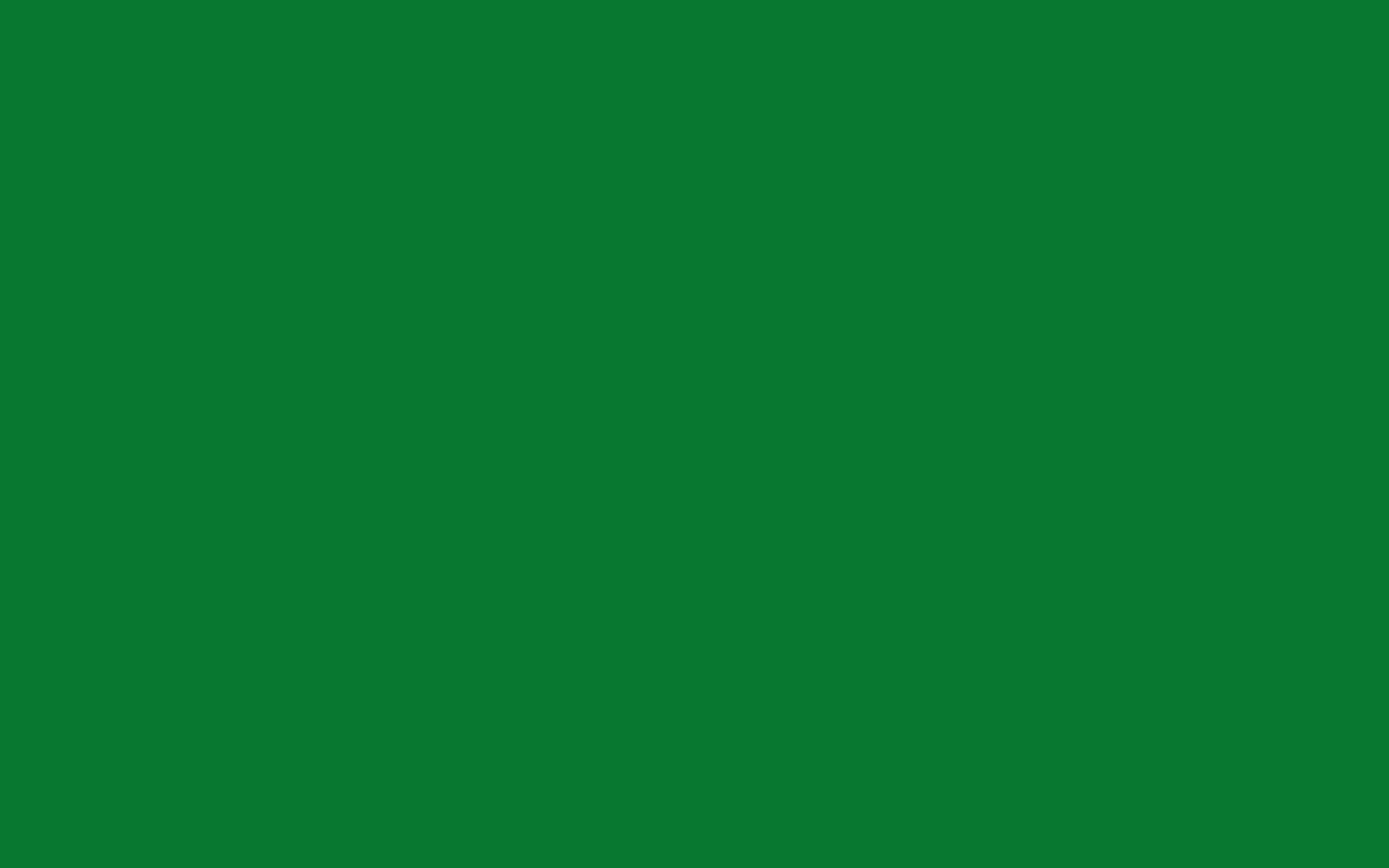 2880x1800 Green Solid Color Wallpaper 986