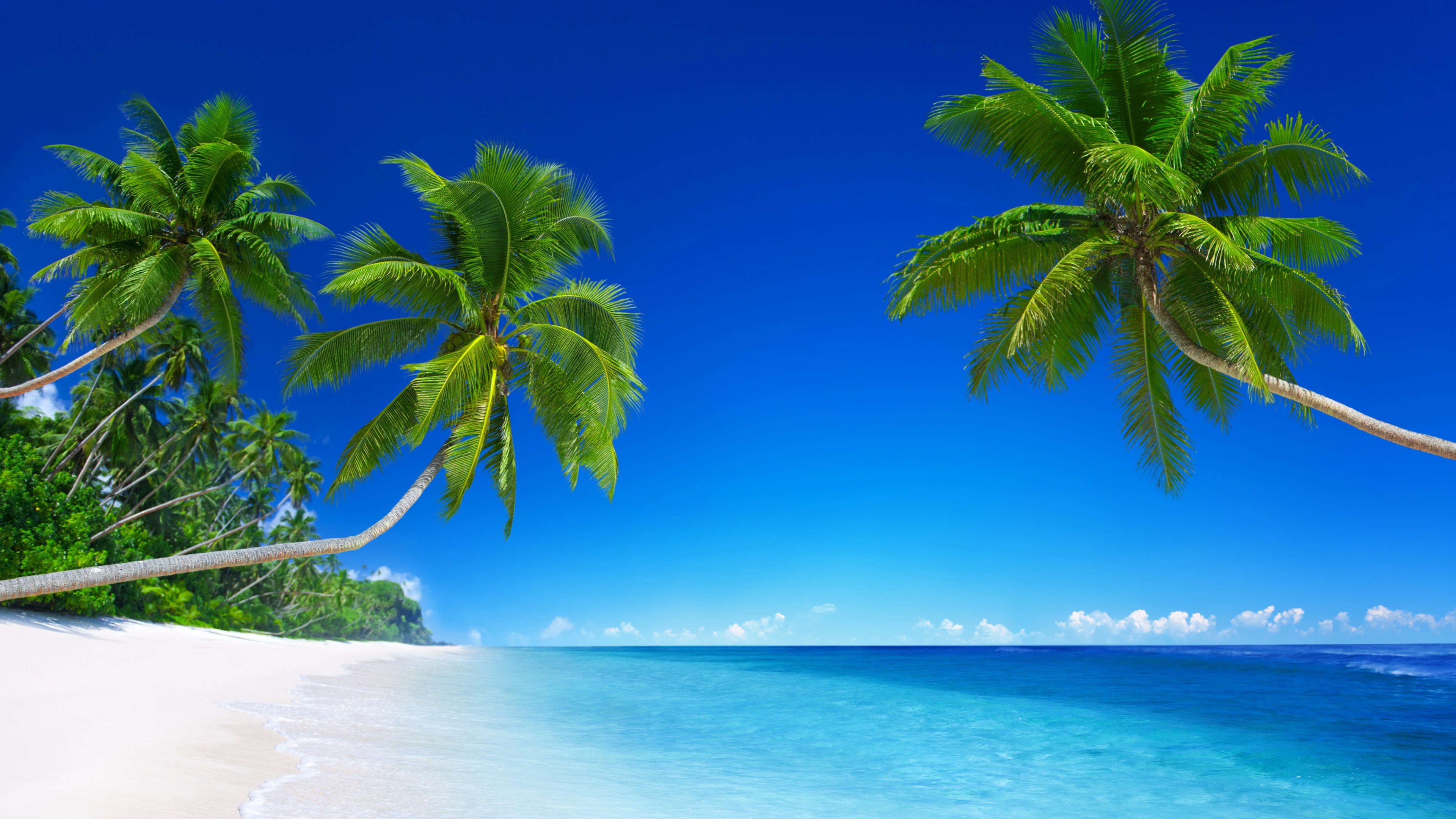 3840x2160 Tropical beach nature ultra hd 4k wallpapers download free