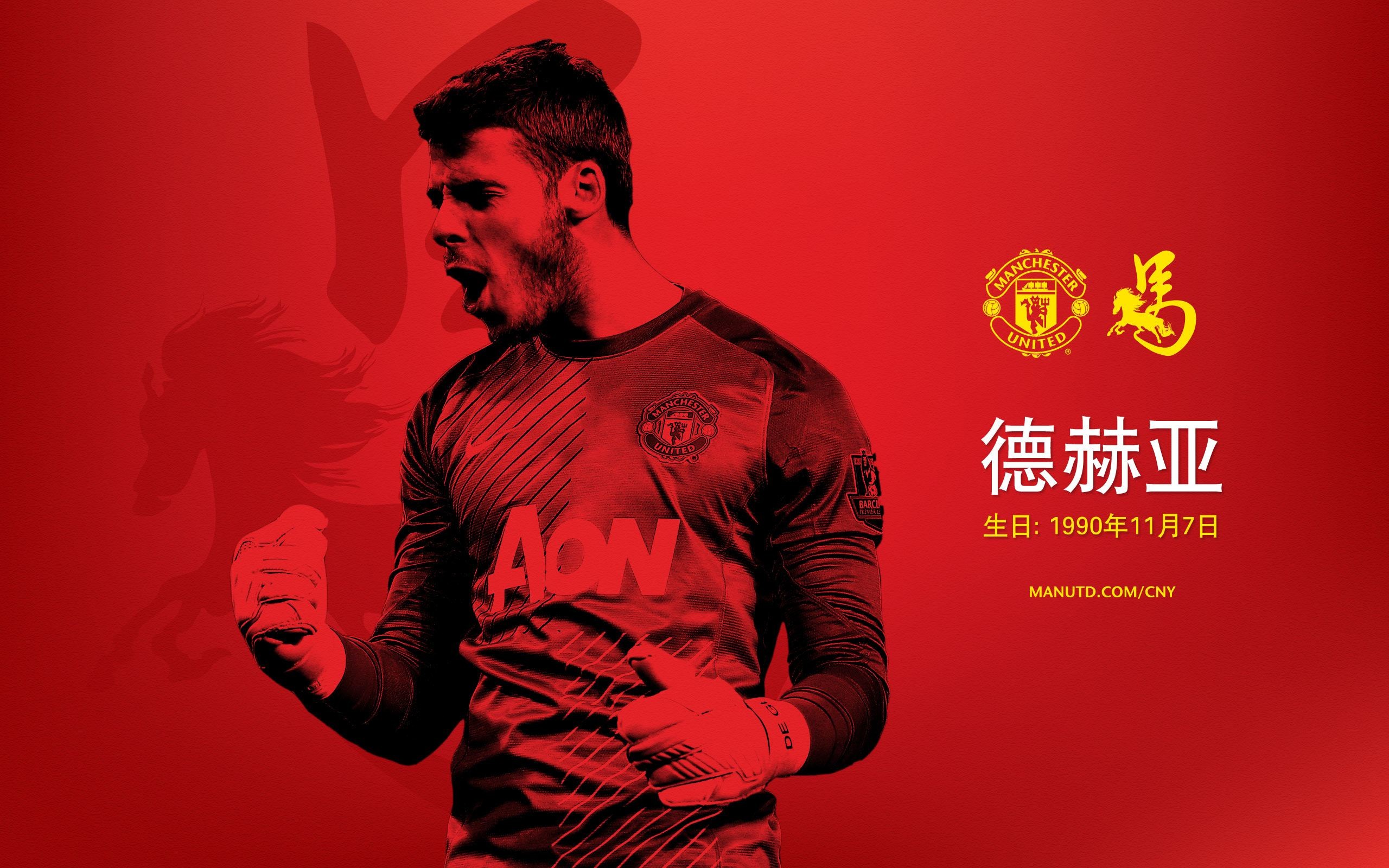 2560x1600 Manchester United Chinese New Year Wallpaper 2014 1