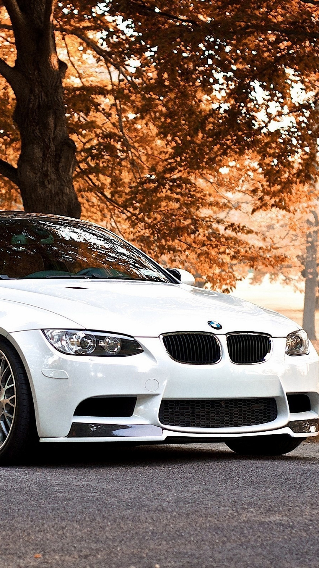 1080x1920 White BMW M3 Autumn Background iPhone 6 Plus HD Wallpaper ...