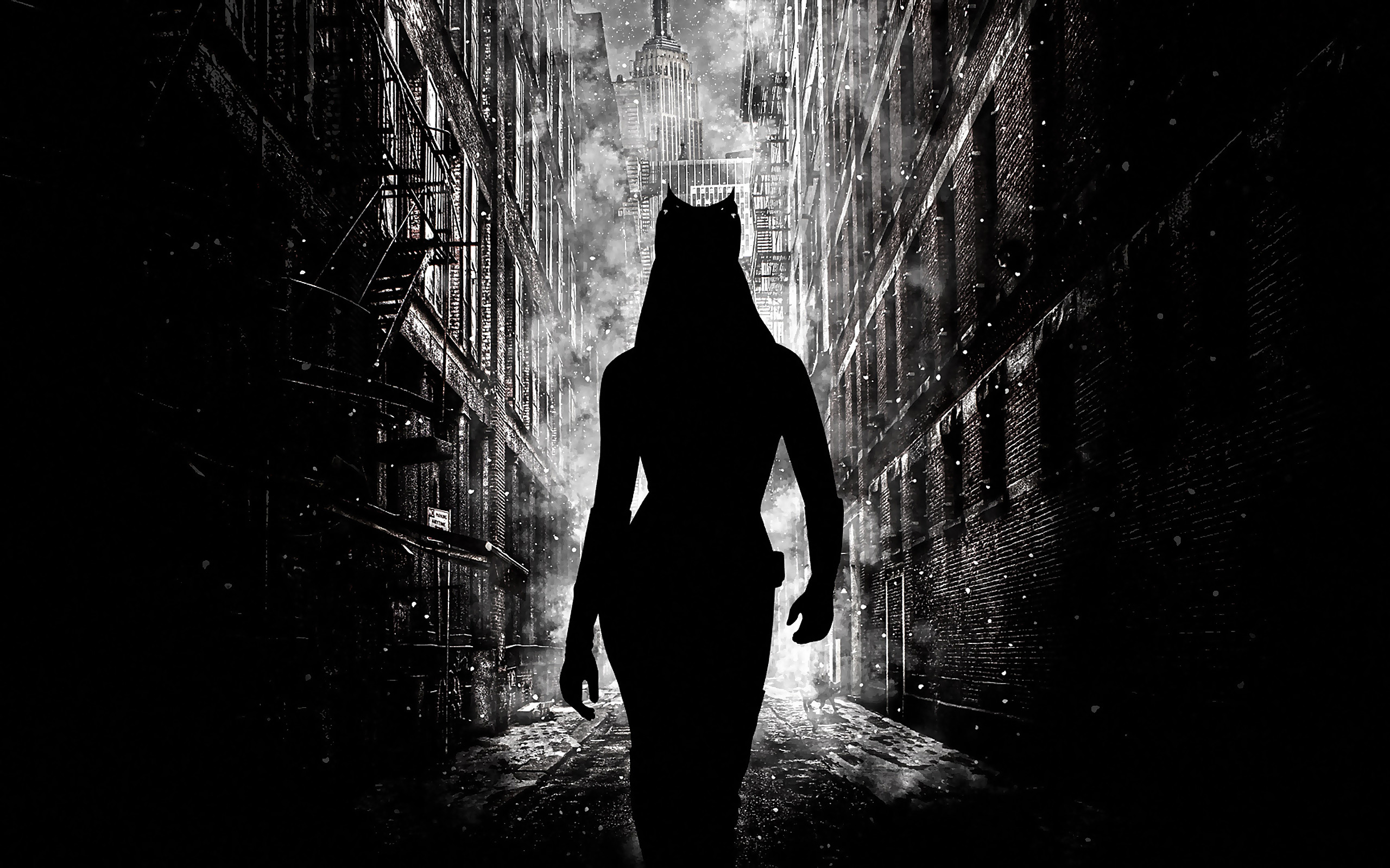 2560x1600 the-dark-knight-rises-catwoman-wallpaper-1920Ã1200