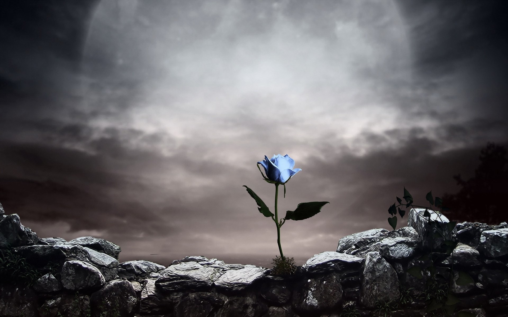 1920x1200 Gothique rose - Gothic - wallpapers
