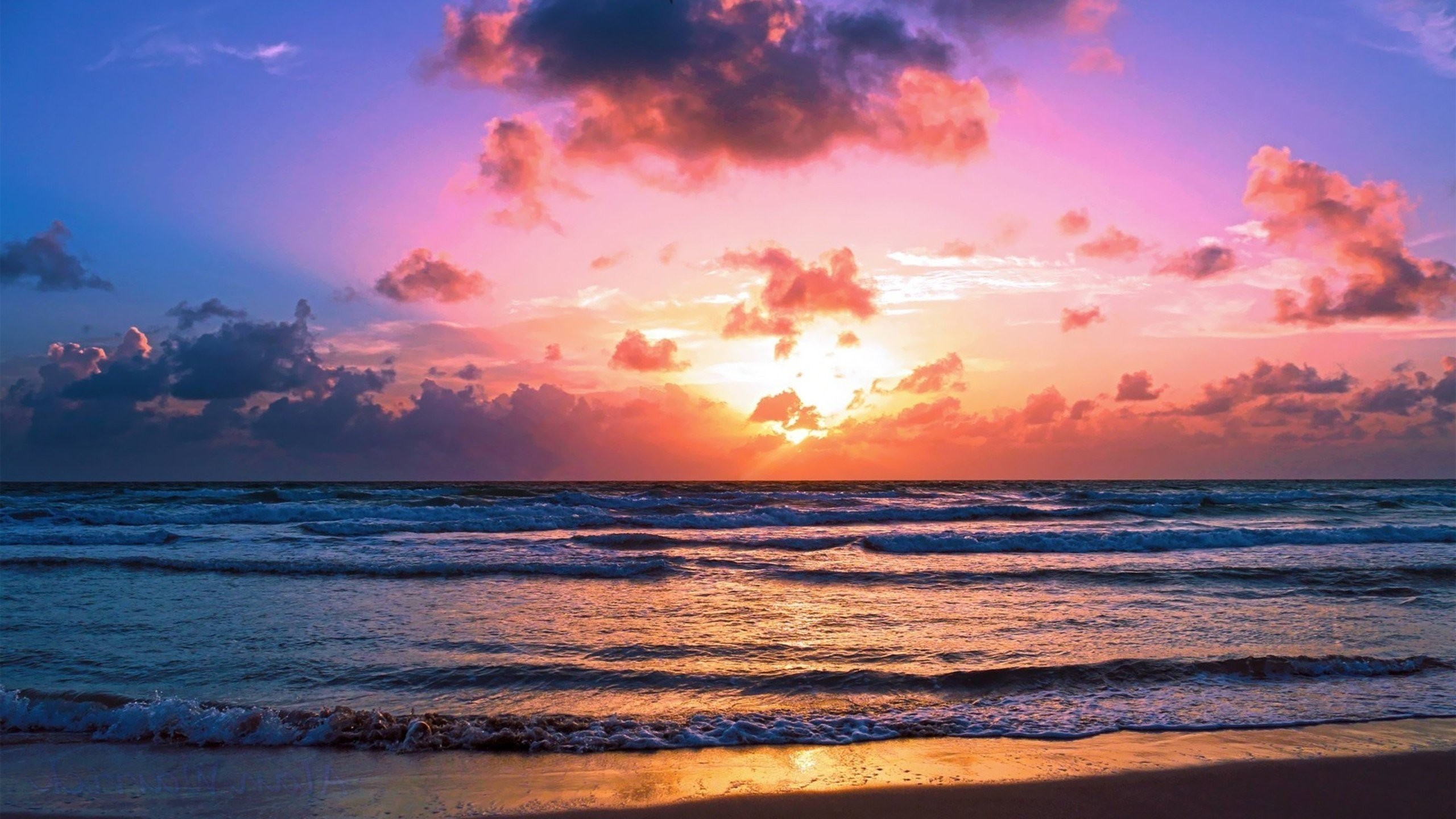 2560x1440 miami beach sunset wallpaper