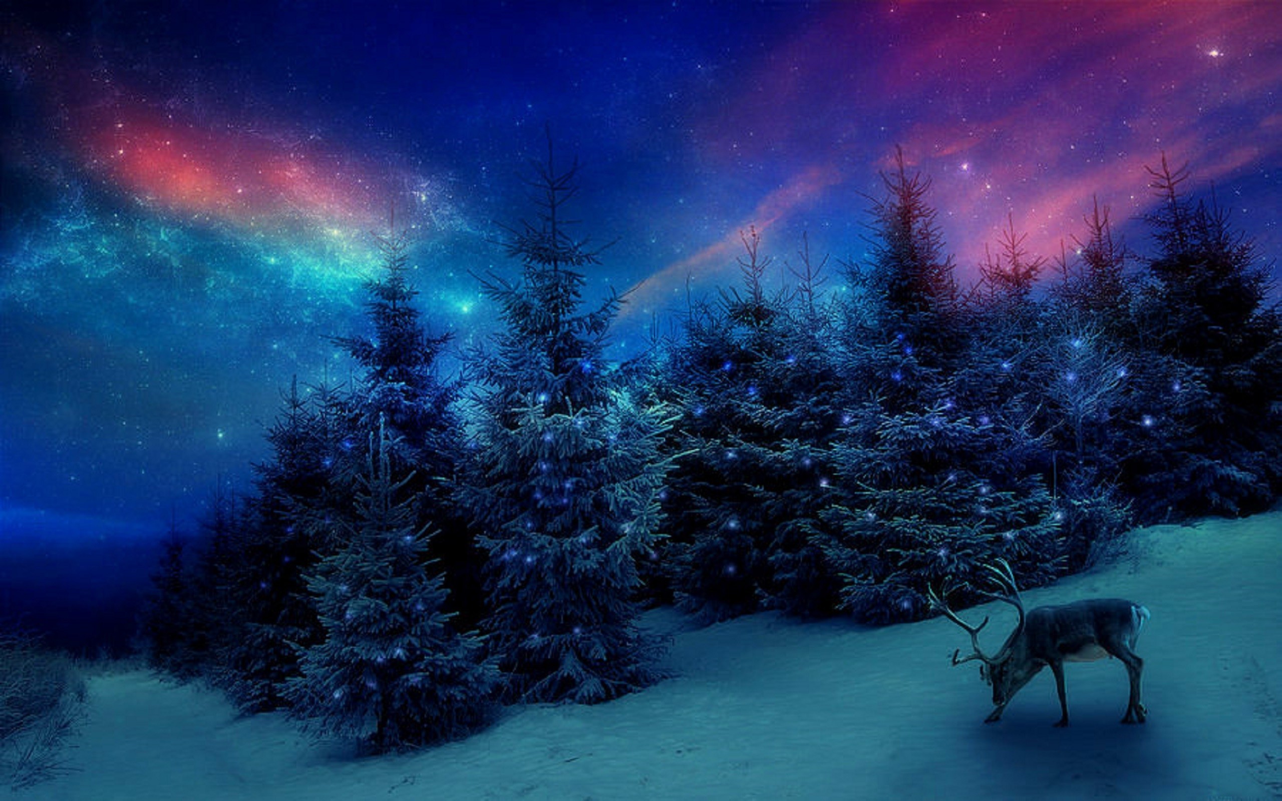 2560x1600 Christmas Forest Deer Trees Winter Love Seasons Attractions Dreams Blue Sky  Creative Pre Nature Greetings Landscapes