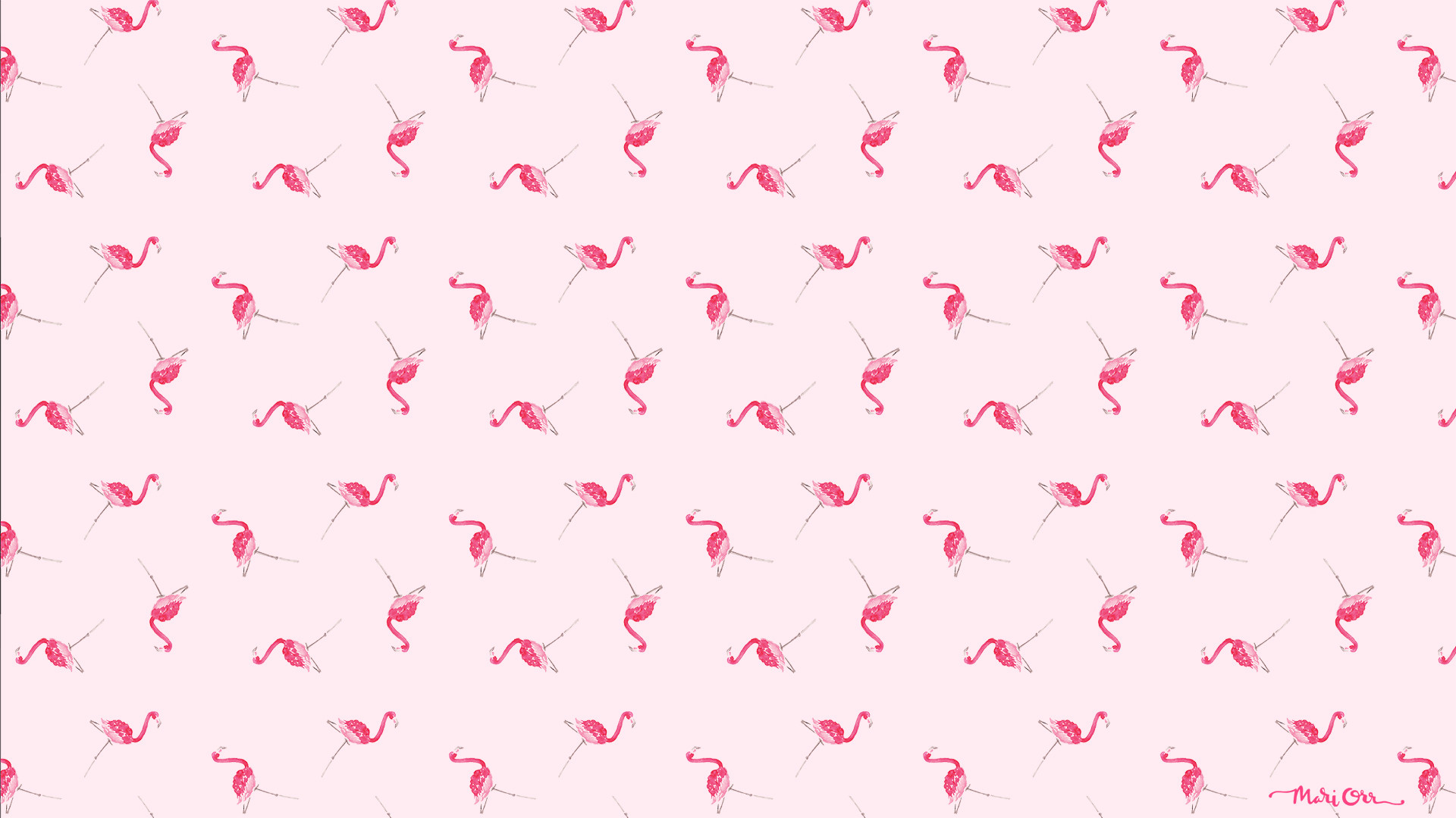 1920x1080 Mari-Orr-Pink-Flamingo-Desktop-1920%C3%971080-