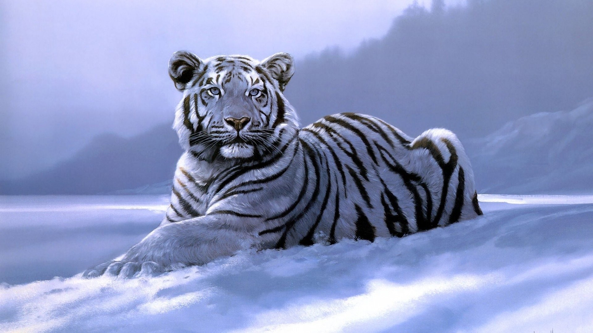 1920x1080 Winter Tag - Tigers Big Wild Tiger Laying Wintertime Cat Winter Siberian  Art Snow Fantasy White