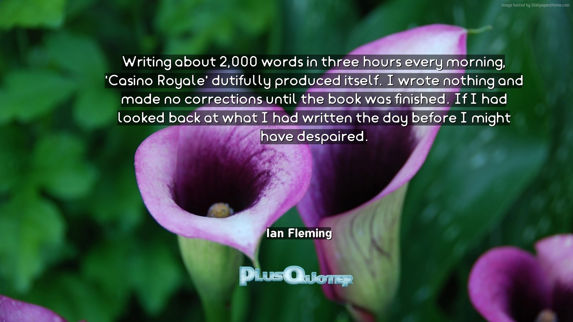1920x1080 Download Wallpaper with inspirational Quotes- "Writing about 2,000 words in  three hours every morning
