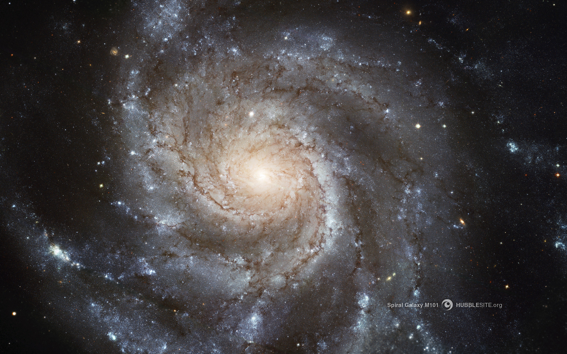 1920x1200 Spiral Galaxy M101